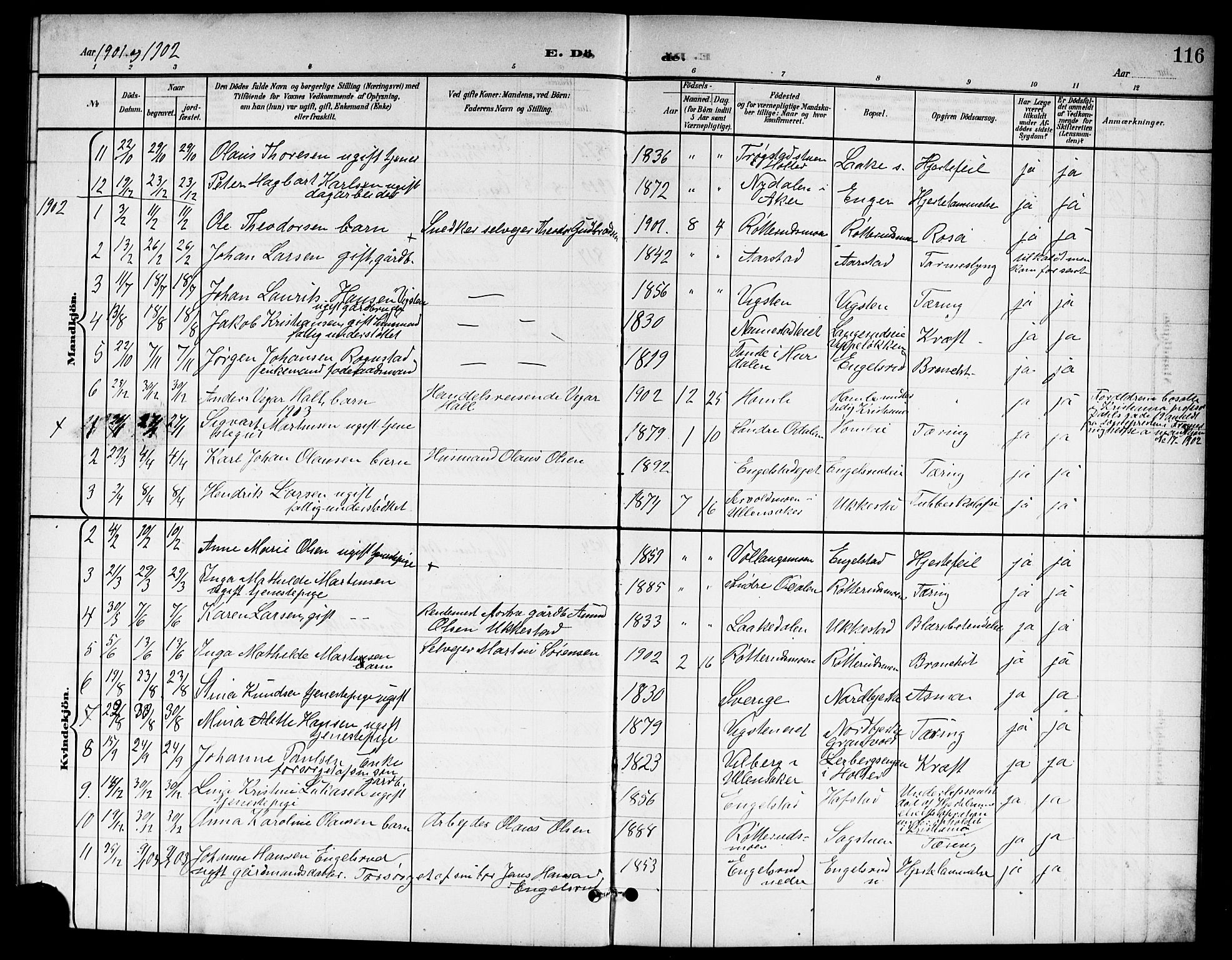 Nannestad prestekontor Kirkebøker, SAO/A-10414a/G/Ga/L0002: Parish register (copy) no. I 2, 1901-1913, p. 116