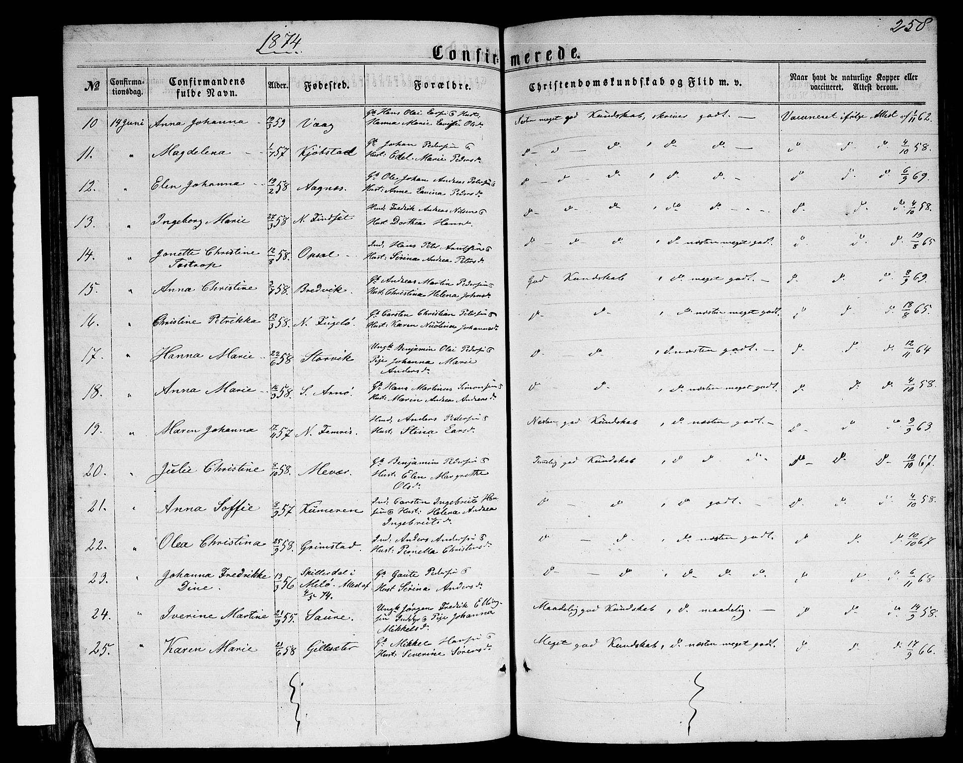 Ministerialprotokoller, klokkerbøker og fødselsregistre - Nordland, AV/SAT-A-1459/805/L0107: Parish register (copy) no. 805C03, 1862-1885, p. 258