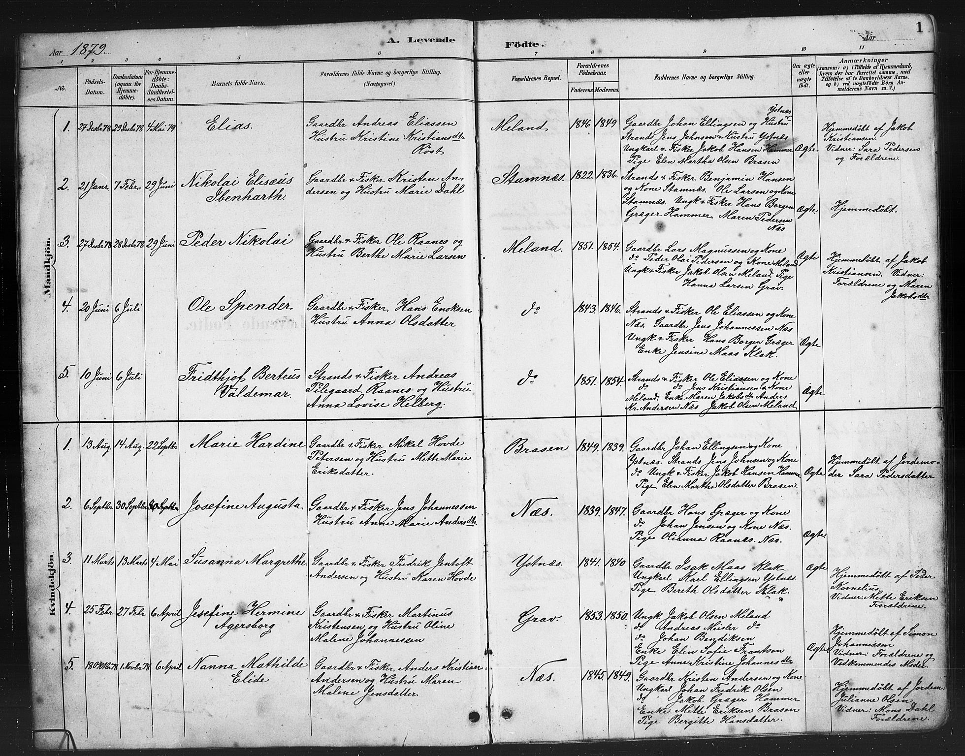 Ministerialprotokoller, klokkerbøker og fødselsregistre - Nordland, AV/SAT-A-1459/808/L0131: Parish register (copy) no. 808C02, 1879-1919, p. 1