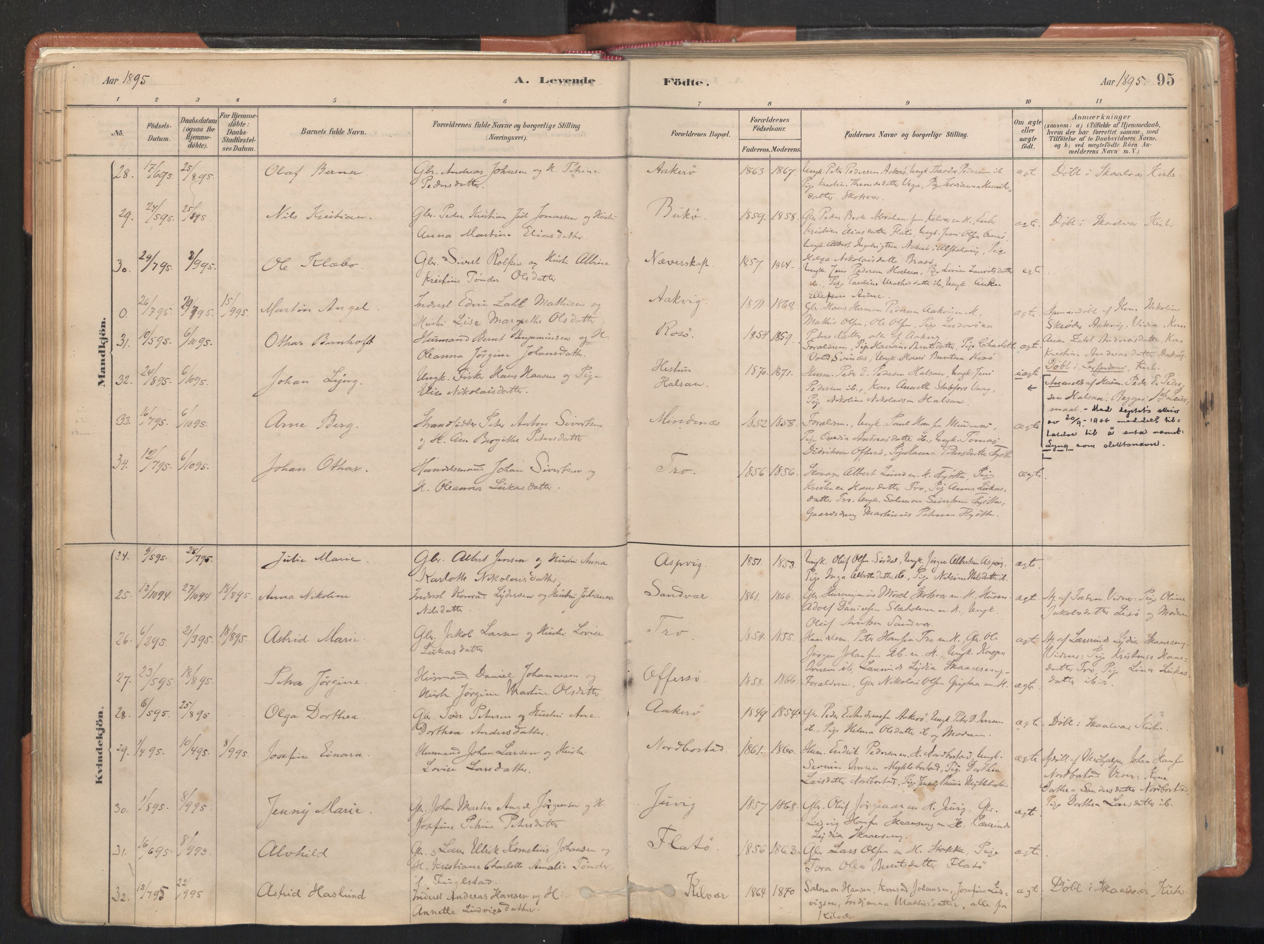 Ministerialprotokoller, klokkerbøker og fødselsregistre - Nordland, AV/SAT-A-1459/817/L0264: Parish register (official) no. 817A04, 1878-1907, p. 95