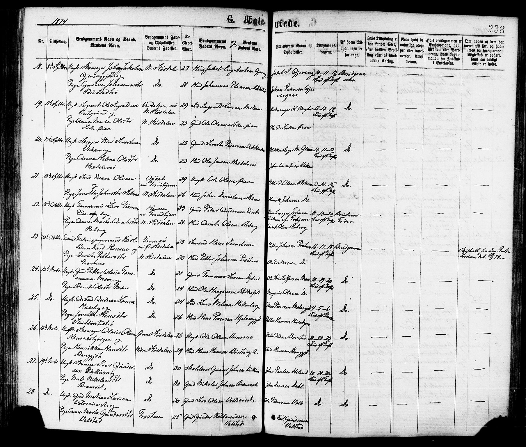 Ministerialprotokoller, klokkerbøker og fødselsregistre - Nord-Trøndelag, SAT/A-1458/709/L0076: Parish register (official) no. 709A16, 1871-1879, p. 238