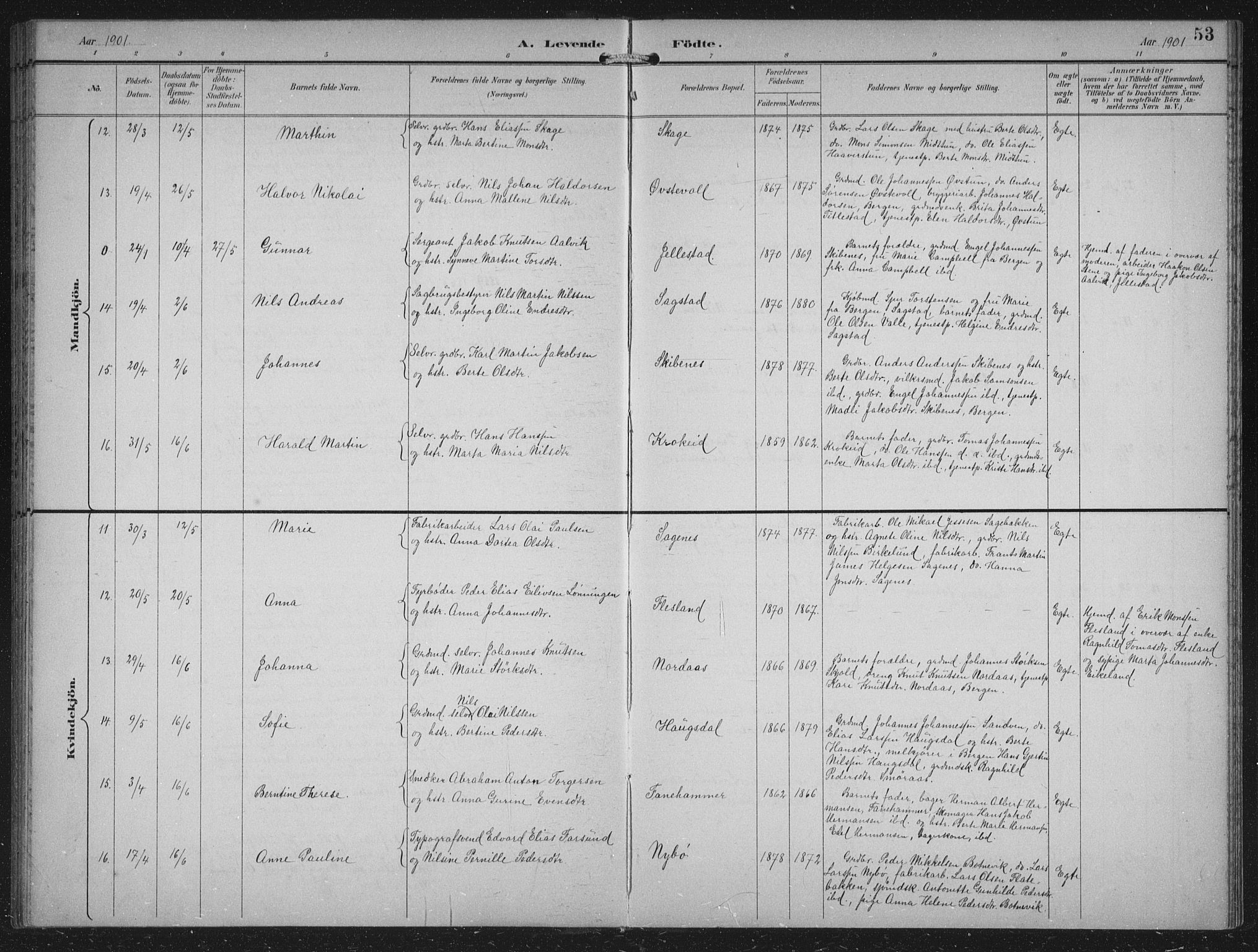 Fana Sokneprestembete, AV/SAB-A-75101/H/Hab/Haba/L0003: Parish register (copy) no. A 3, 1895-1902, p. 53