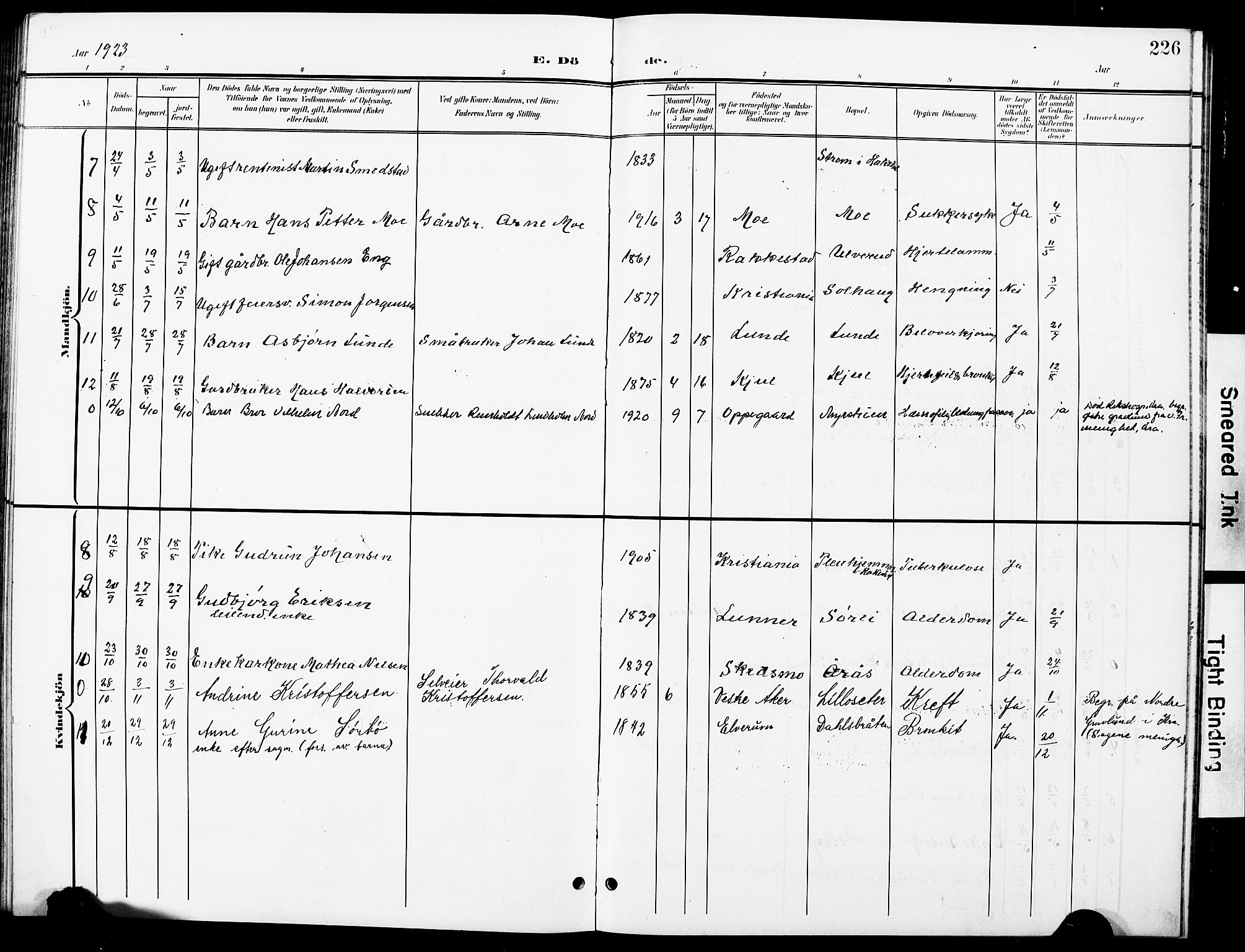 Nittedal prestekontor Kirkebøker, SAO/A-10365a/G/Ga/L0003: Parish register (copy) no. I 3, 1902-1929, p. 226
