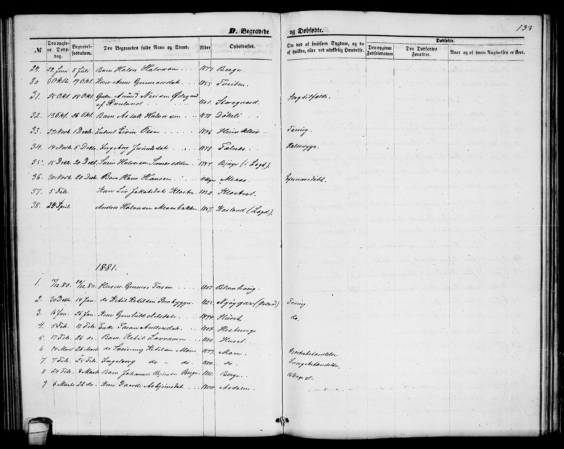 Seljord kirkebøker, SAKO/A-20/G/Ga/L0004: Parish register (copy) no. I 4, 1873-1886, p. 133