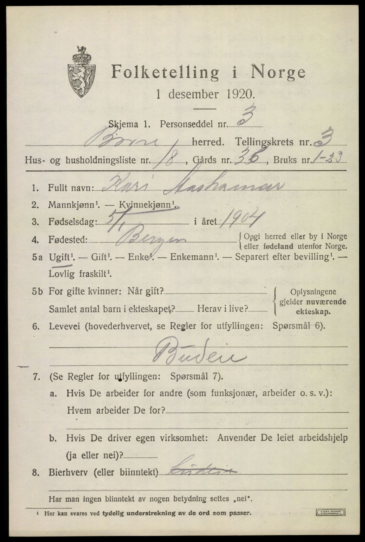 SAKO, 1920 census for Borre, 1920, p. 6234
