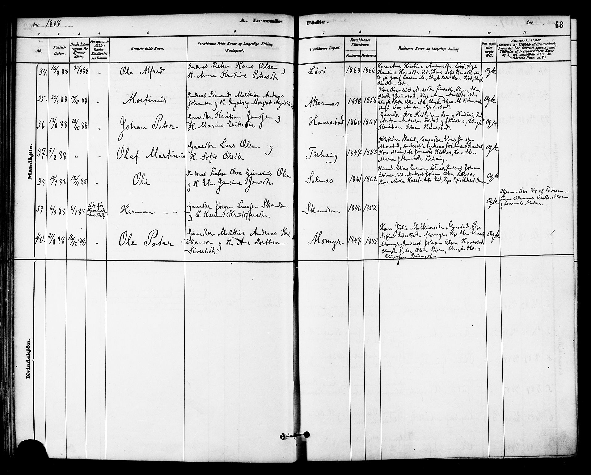 Ministerialprotokoller, klokkerbøker og fødselsregistre - Sør-Trøndelag, SAT/A-1456/655/L0680: Parish register (official) no. 655A09, 1880-1894, p. 43