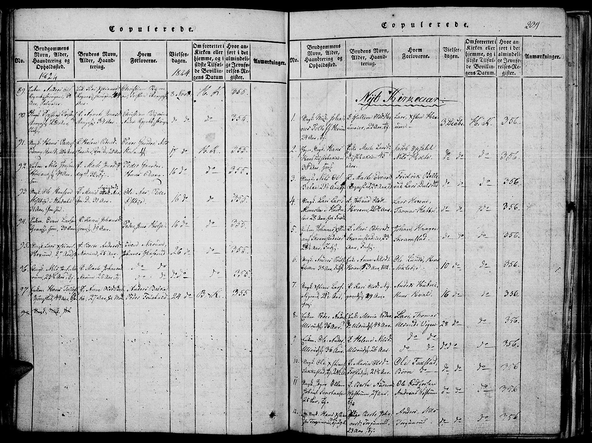 Toten prestekontor, SAH/PREST-102/H/Ha/Haa/L0010: Parish register (official) no. 10, 1820-1828, p. 204