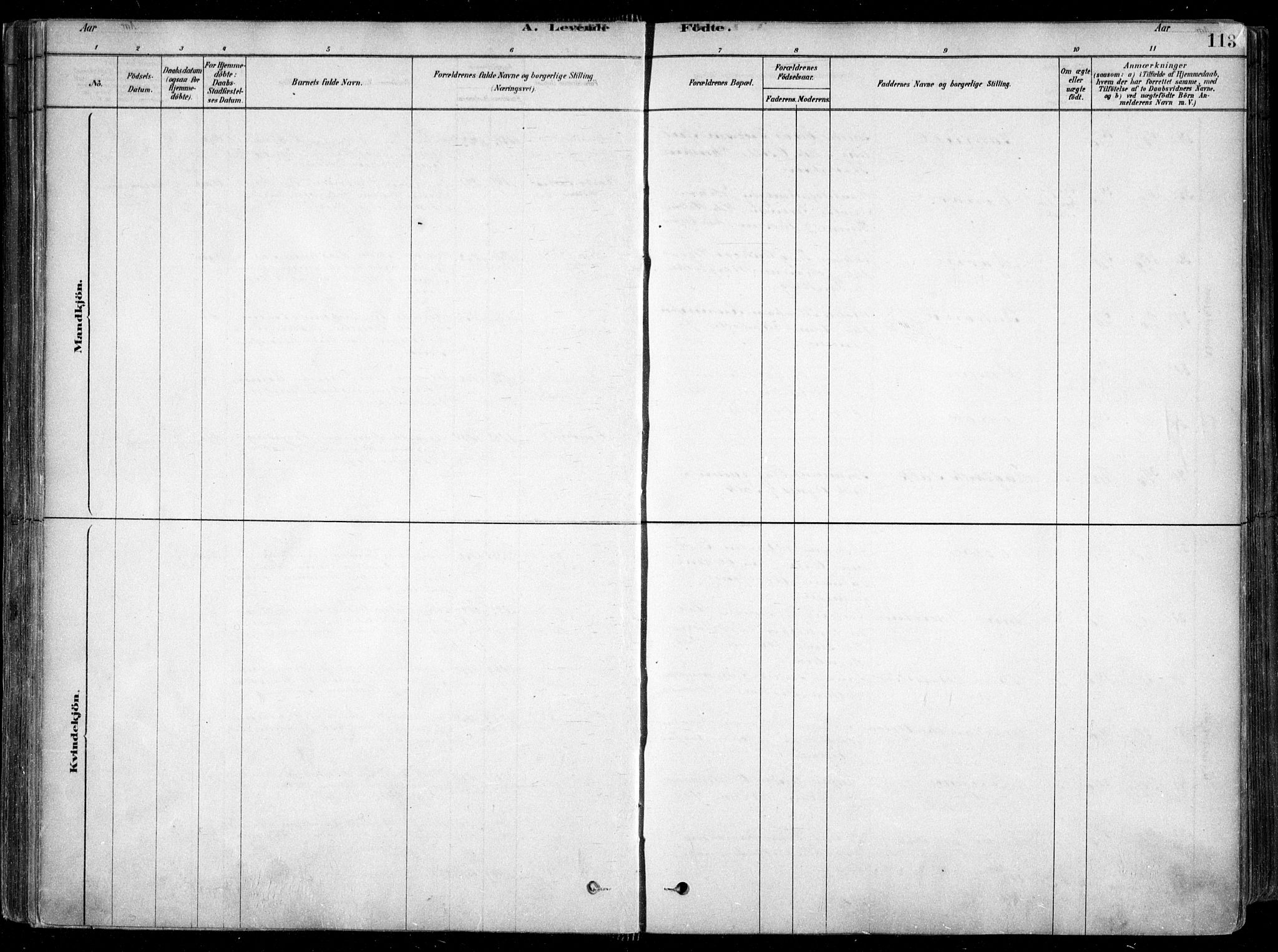 Arendal sokneprestkontor, Trefoldighet, SAK/1111-0040/F/Fa/L0008: Parish register (official) no. A 8, 1878-1899, p. 113