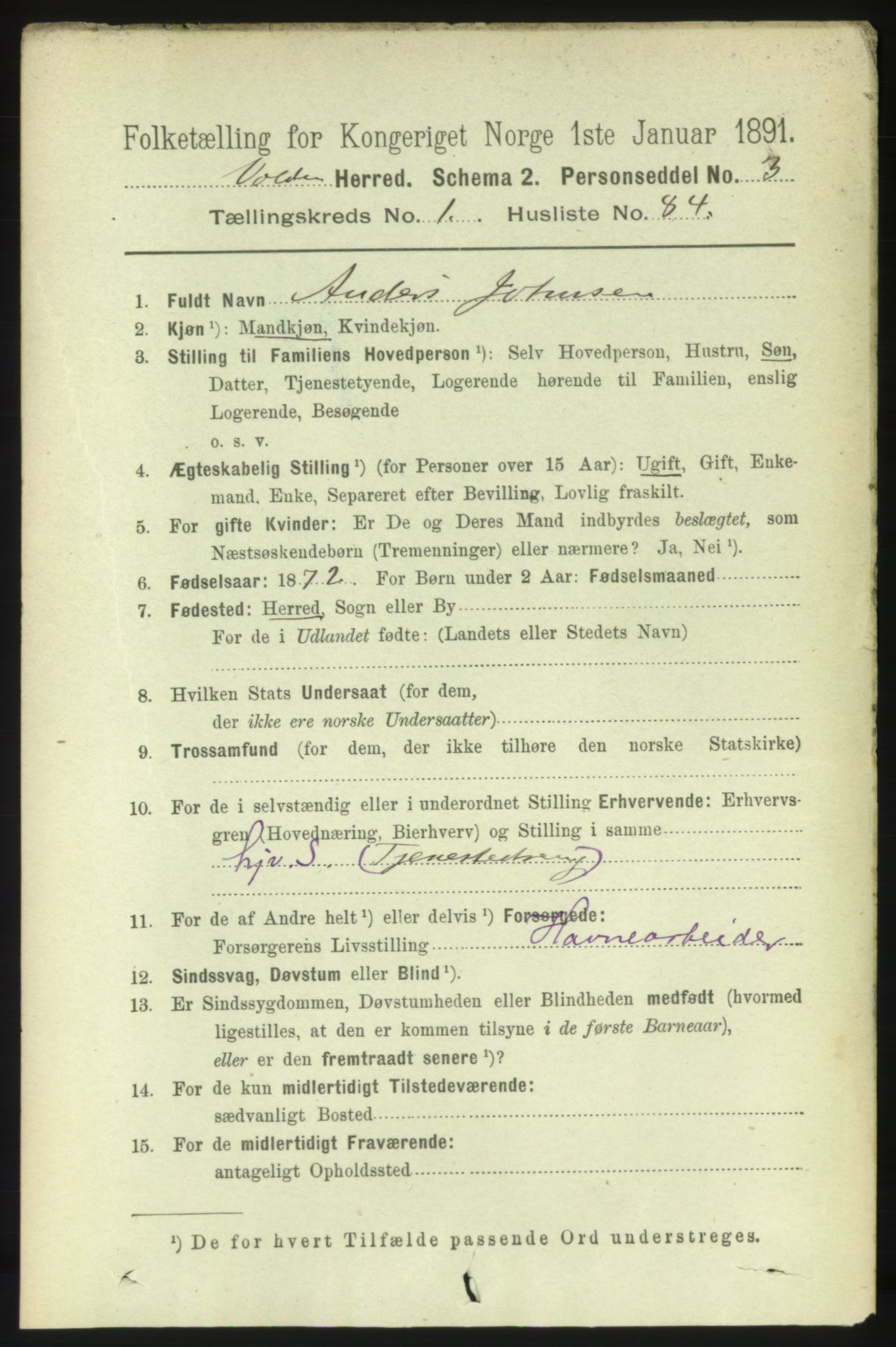 RA, 1891 census for 1519 Volda, 1891, p. 596