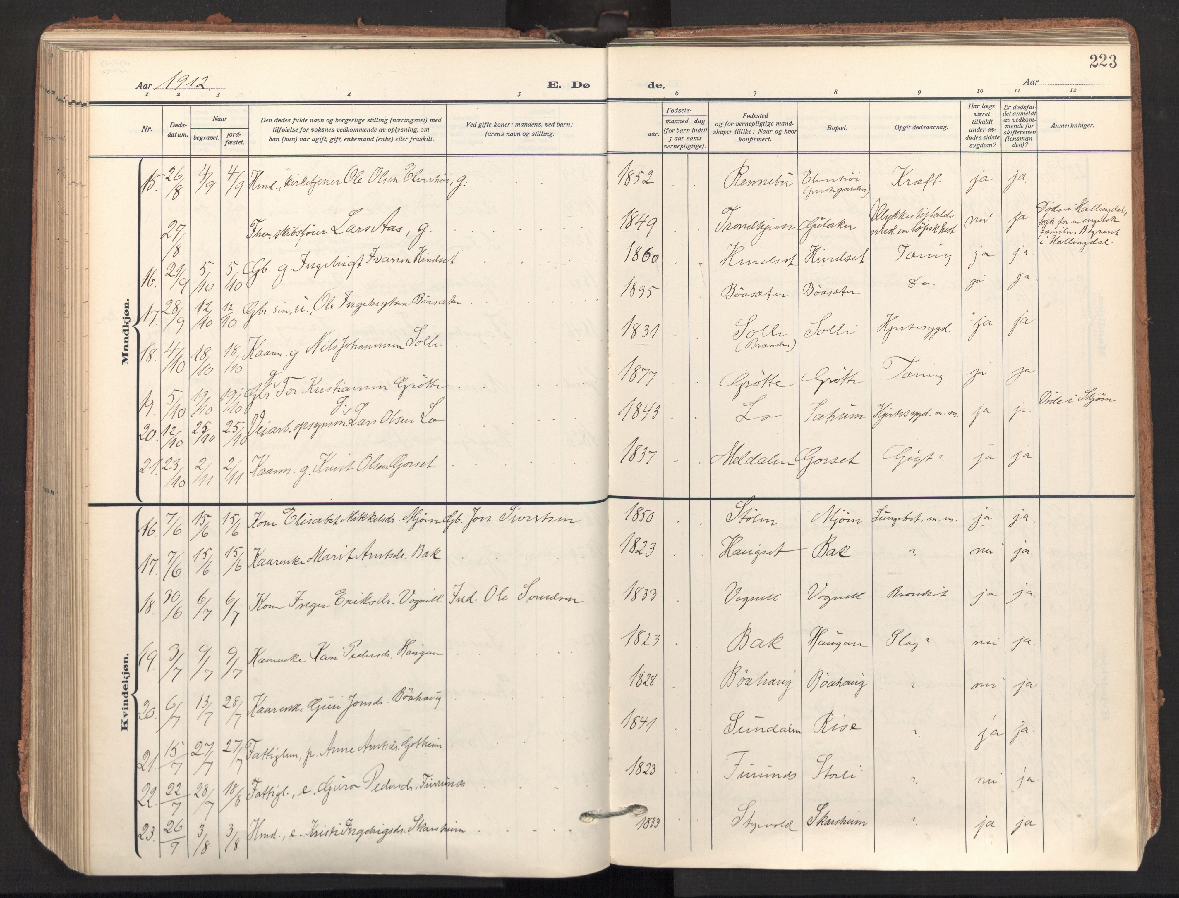 Ministerialprotokoller, klokkerbøker og fødselsregistre - Sør-Trøndelag, AV/SAT-A-1456/678/L0909: Parish register (official) no. 678A17, 1912-1930, p. 223