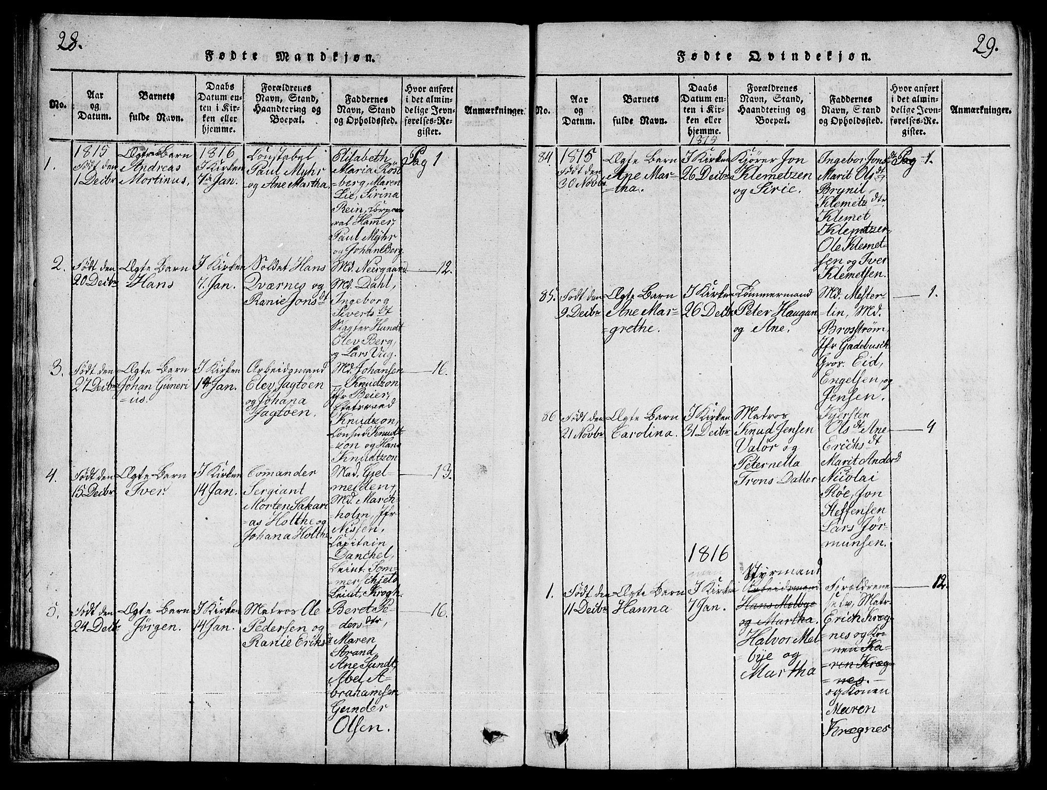 Ministerialprotokoller, klokkerbøker og fødselsregistre - Sør-Trøndelag, SAT/A-1456/601/L0043: Parish register (official) no. 601A11, 1815-1821, p. 28-29