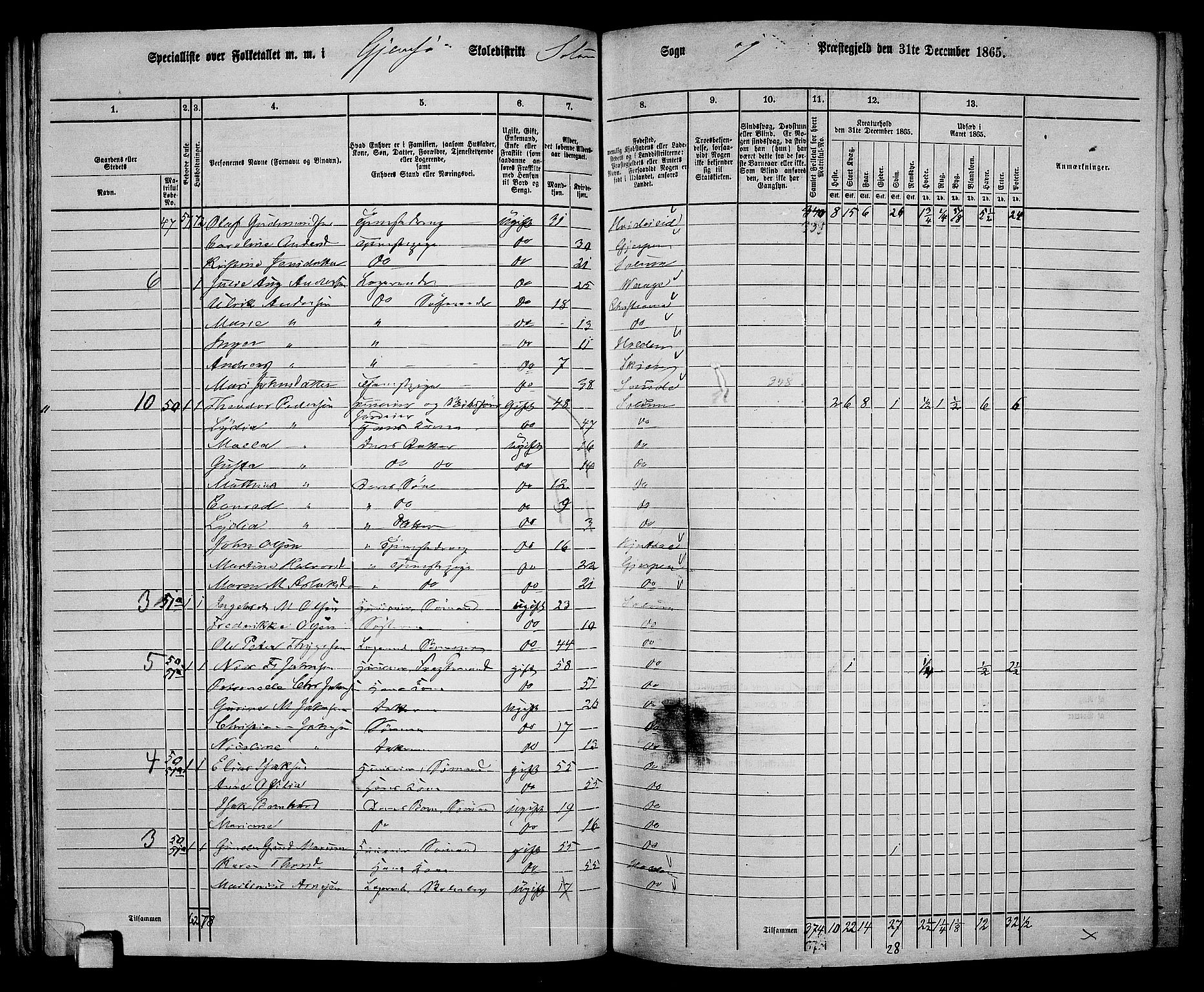 RA, 1865 census for Solum, 1865, p. 58