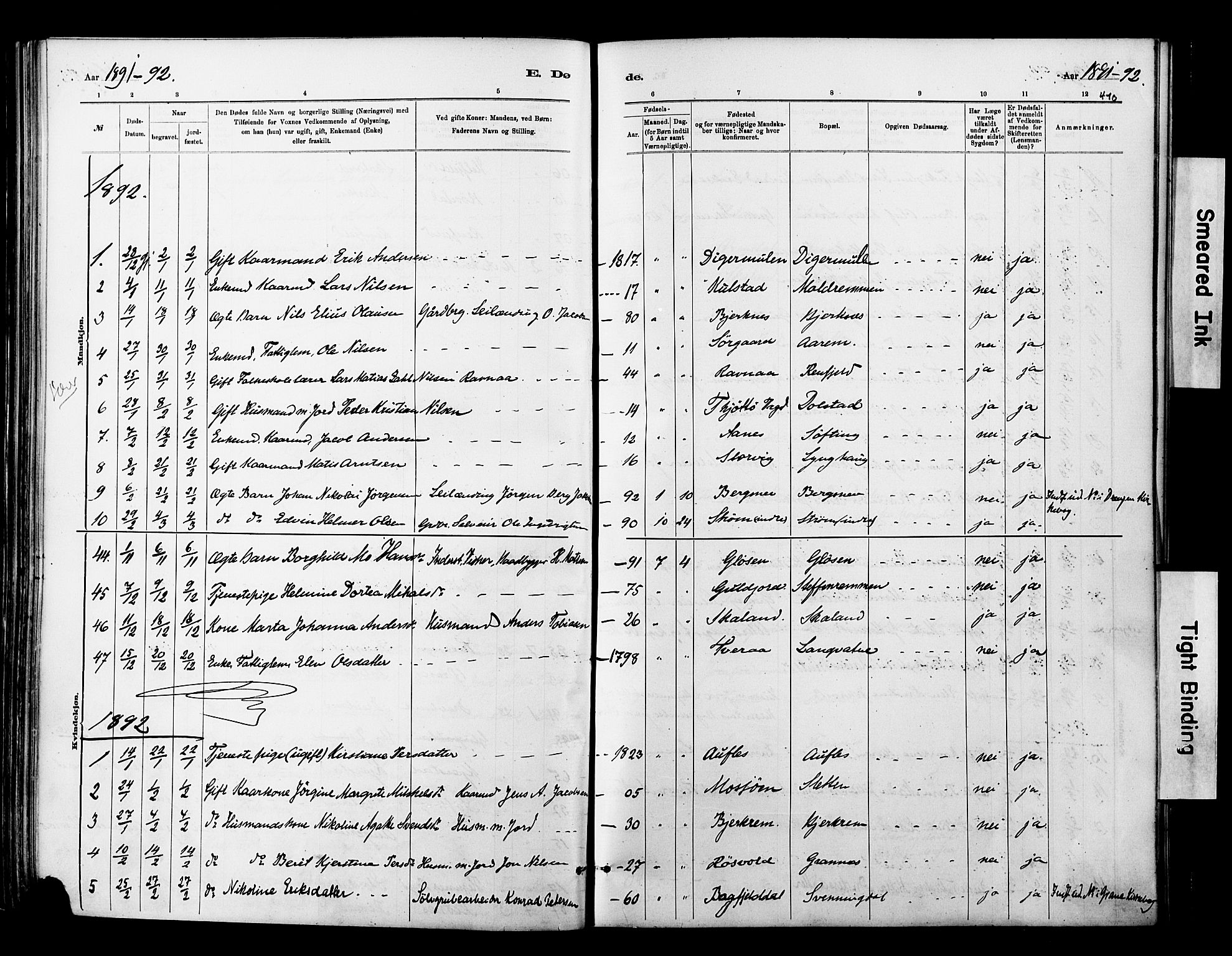 Ministerialprotokoller, klokkerbøker og fødselsregistre - Nordland, SAT/A-1459/820/L0295: Parish register (official) no. 820A16, 1880-1896, p. 410