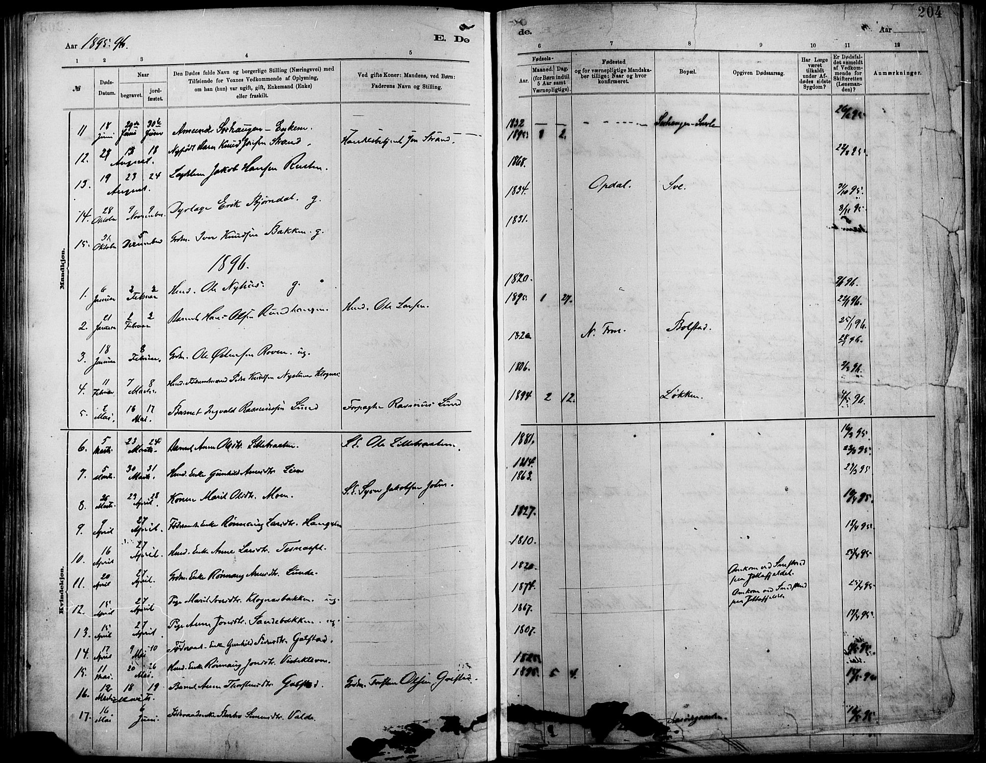 Vågå prestekontor, SAH/PREST-076/H/Ha/Haa/L0009: Parish register (official) no. 9, 1886-1904, p. 204