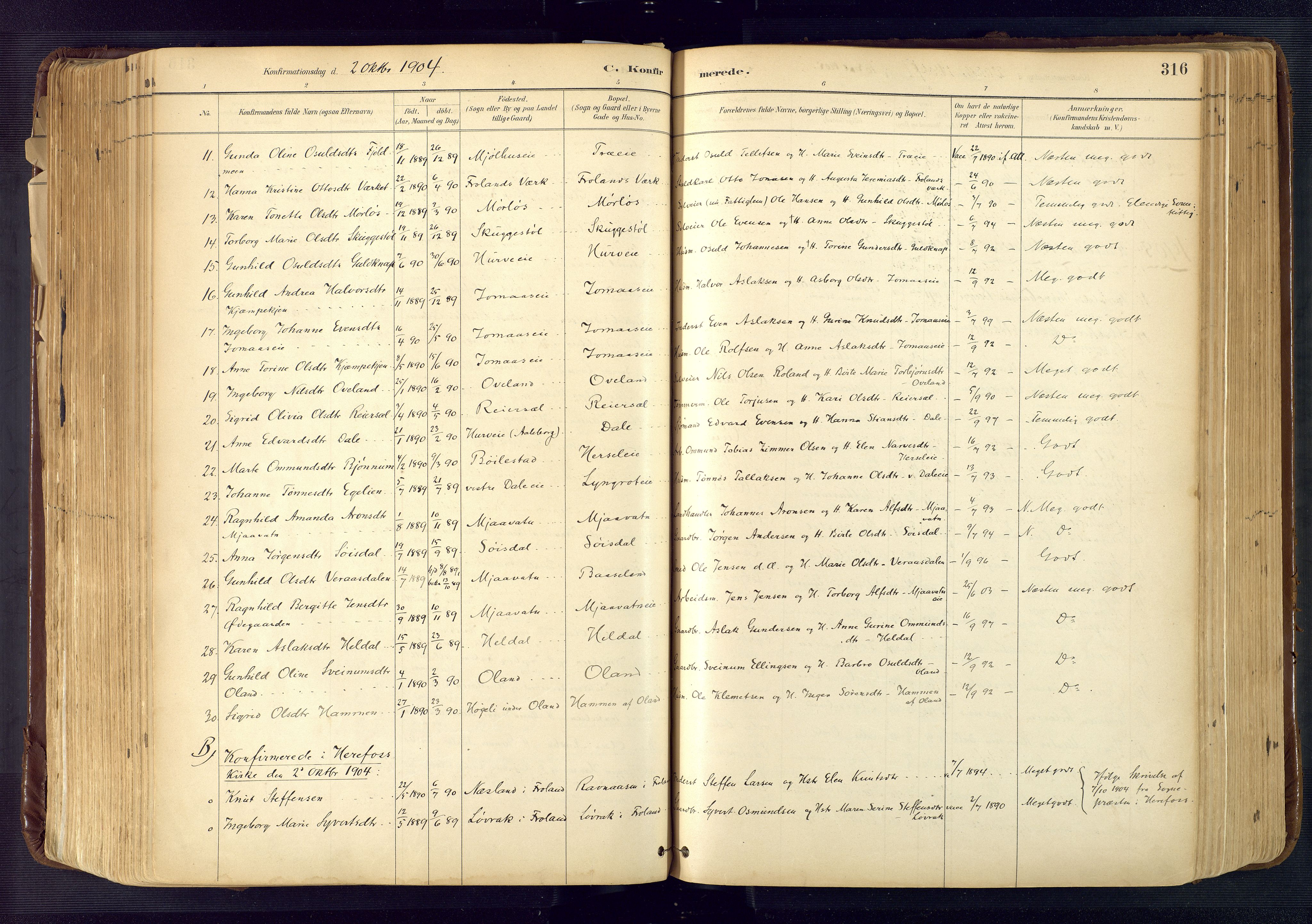 Froland sokneprestkontor, SAK/1111-0013/F/Fa/L0005: Parish register (official) no. A 5, 1882-1921, p. 316