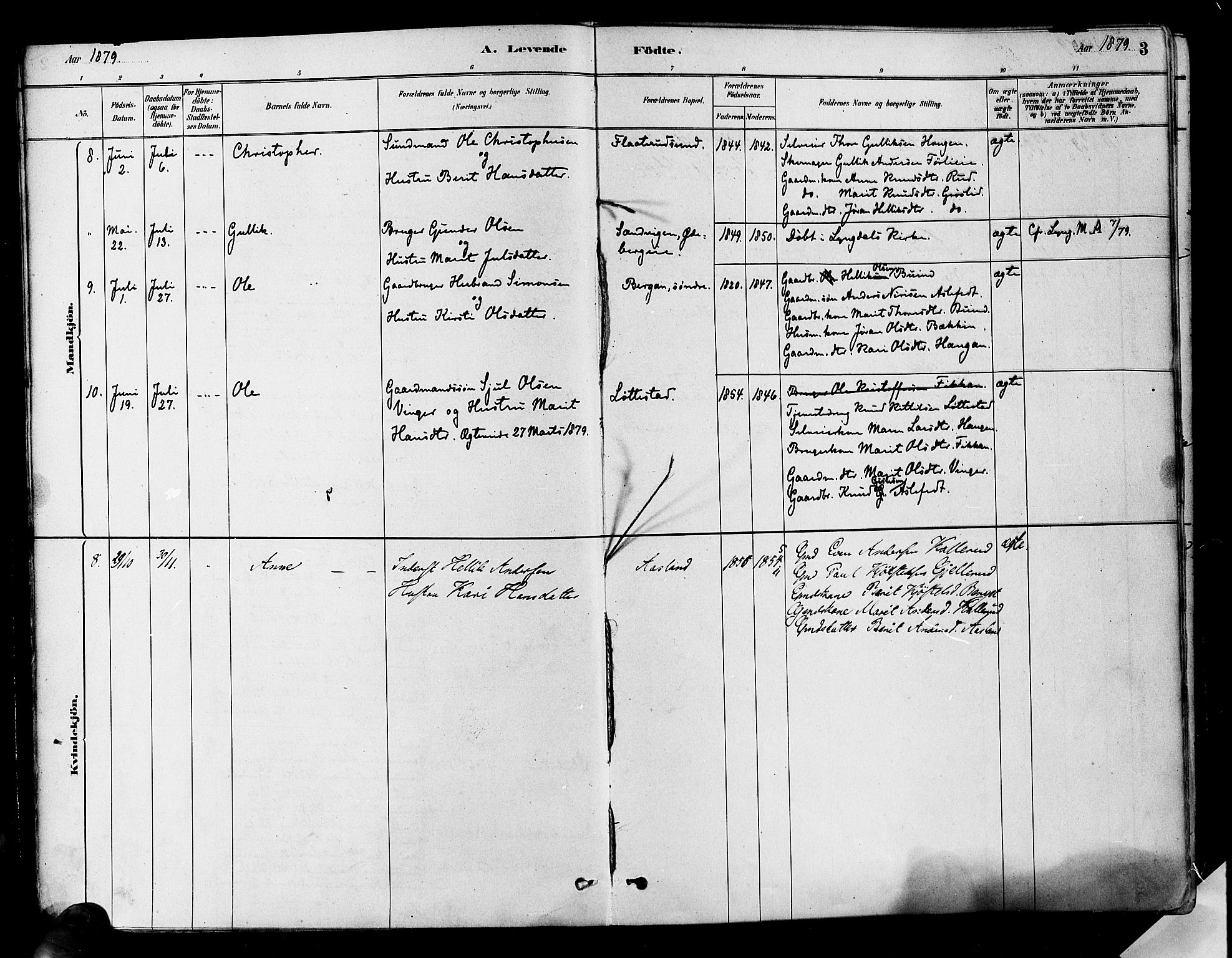 Flesberg kirkebøker, AV/SAKO-A-18/F/Fa/L0008: Parish register (official) no. I 8, 1879-1899, p. 3