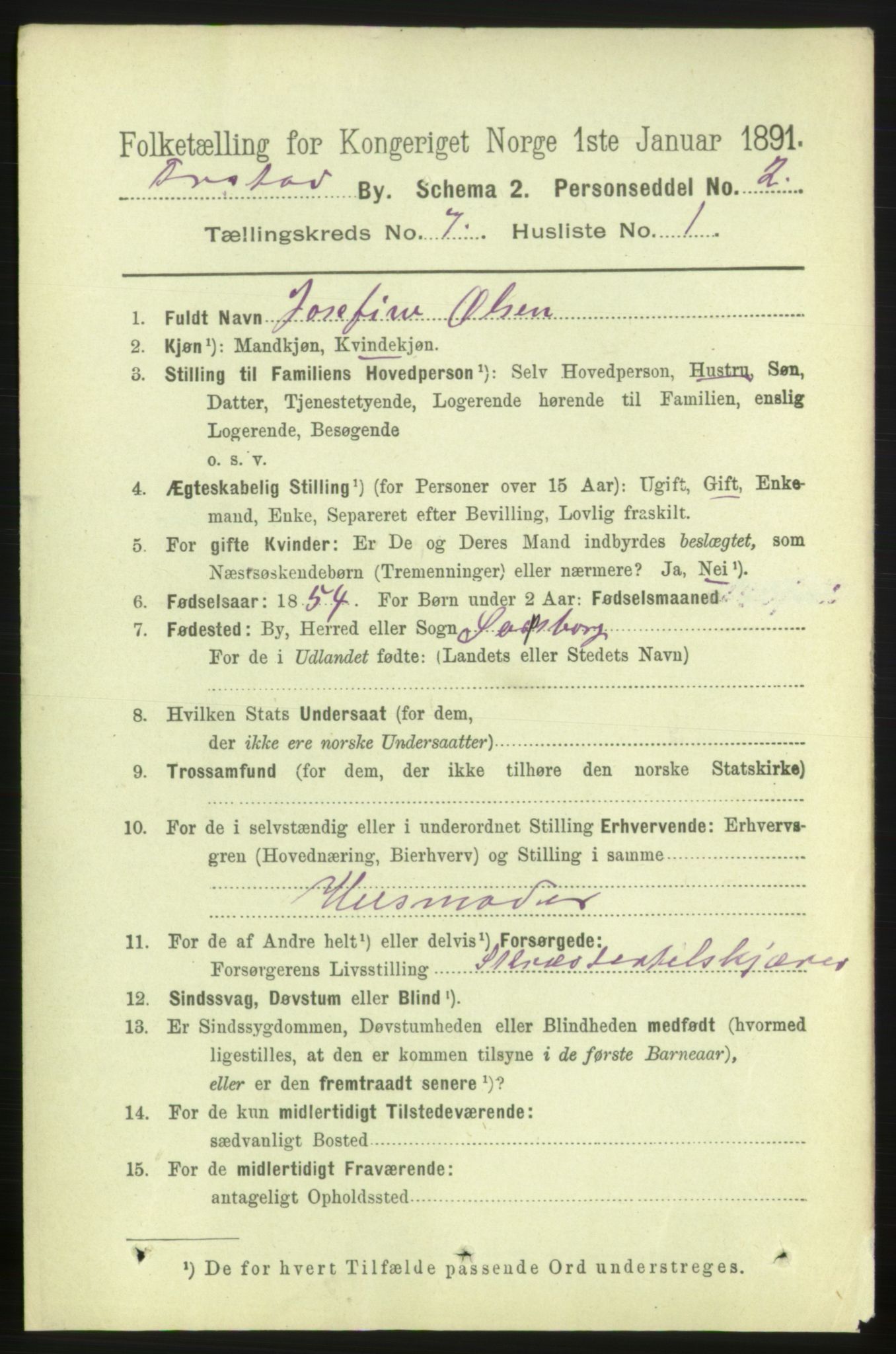 RA, 1891 census for 0103 Fredrikstad, 1891, p. 8711