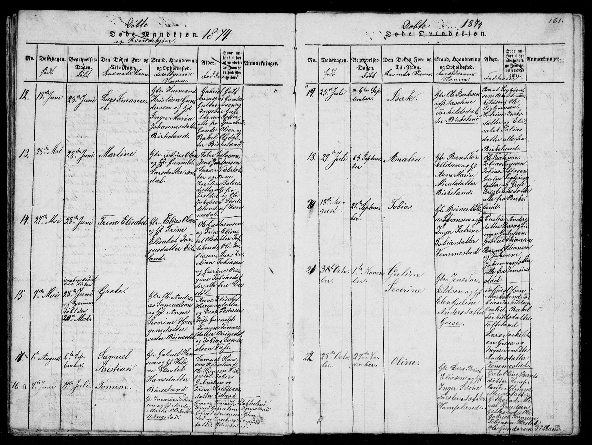 Lyngdal sokneprestkontor, SAK/1111-0029/F/Fb/Fbb/L0001: Parish register (copy) no. B 1, 1816-1900, p. 161
