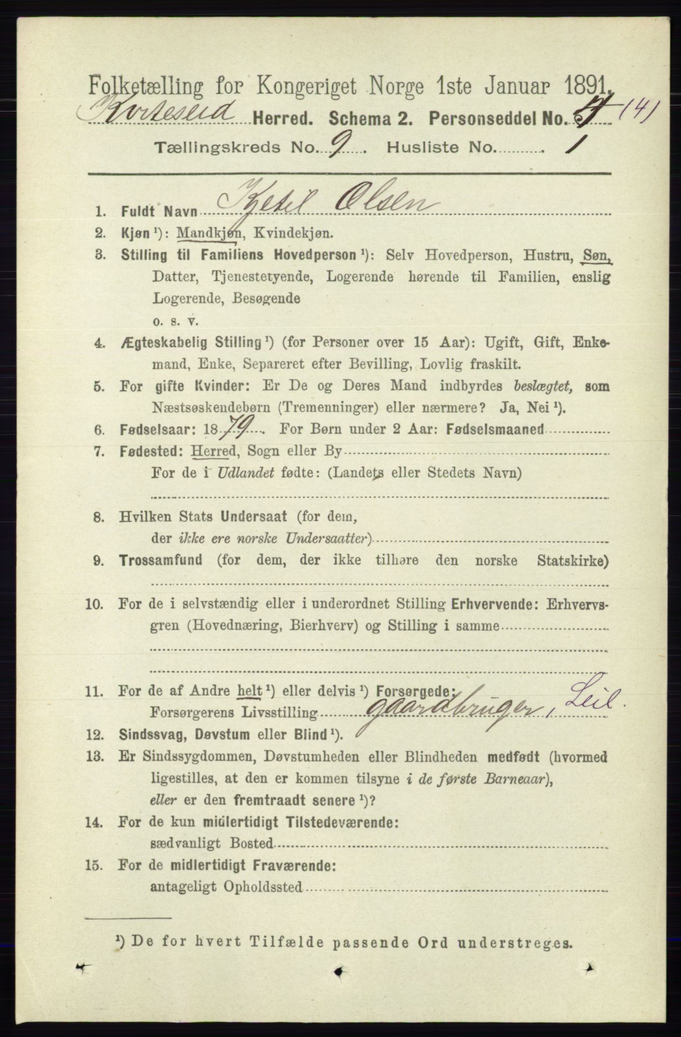 RA, 1891 census for 0829 Kviteseid, 1891, p. 1994