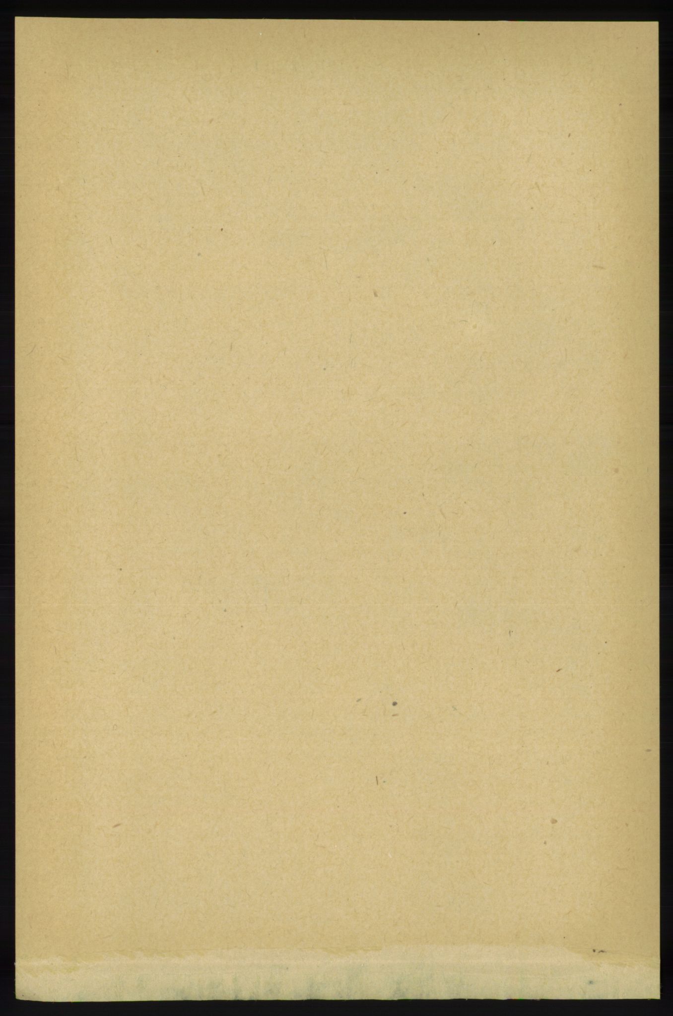 RA, 1891 census for 1138 Jelsa, 1891, p. 375