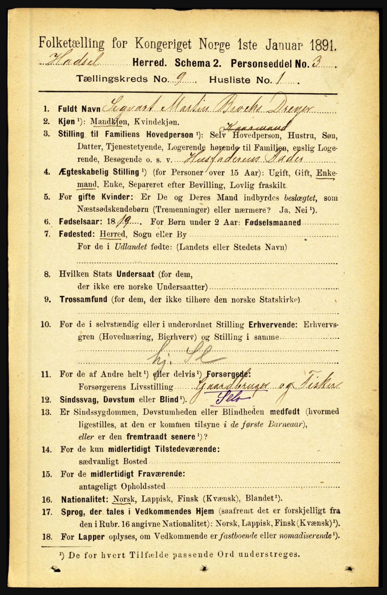 RA, 1891 census for 1866 Hadsel, 1891, p. 3919