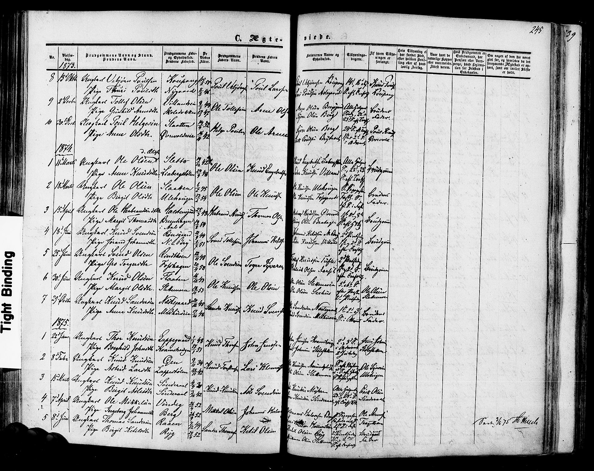 Hol kirkebøker, SAKO/A-227/F/Fa/L0002: Parish register (official) no. I 2, 1870-1886, p. 245