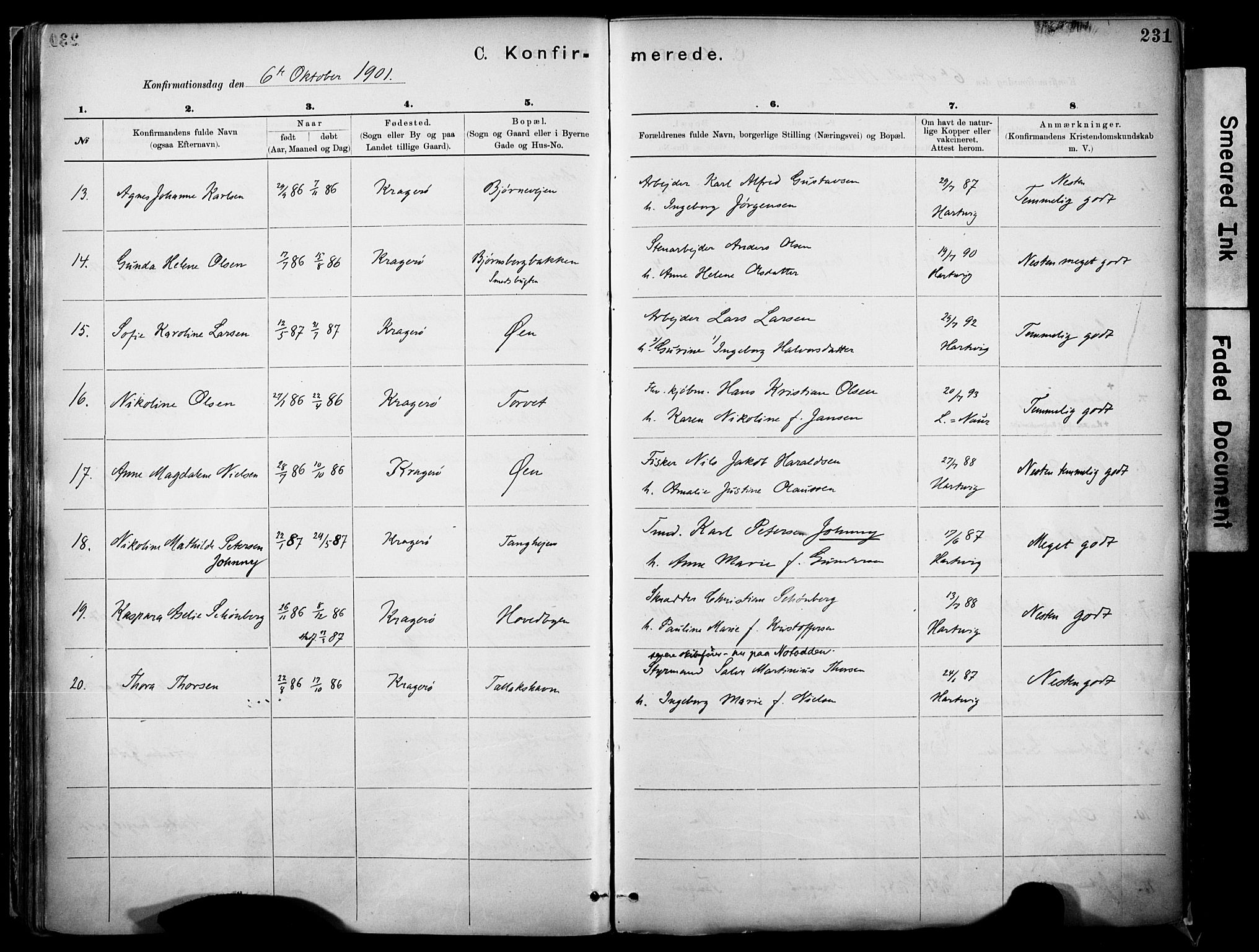 Kragerø kirkebøker, SAKO/A-278/F/Fa/L0012: Parish register (official) no. 12, 1880-1904, p. 231