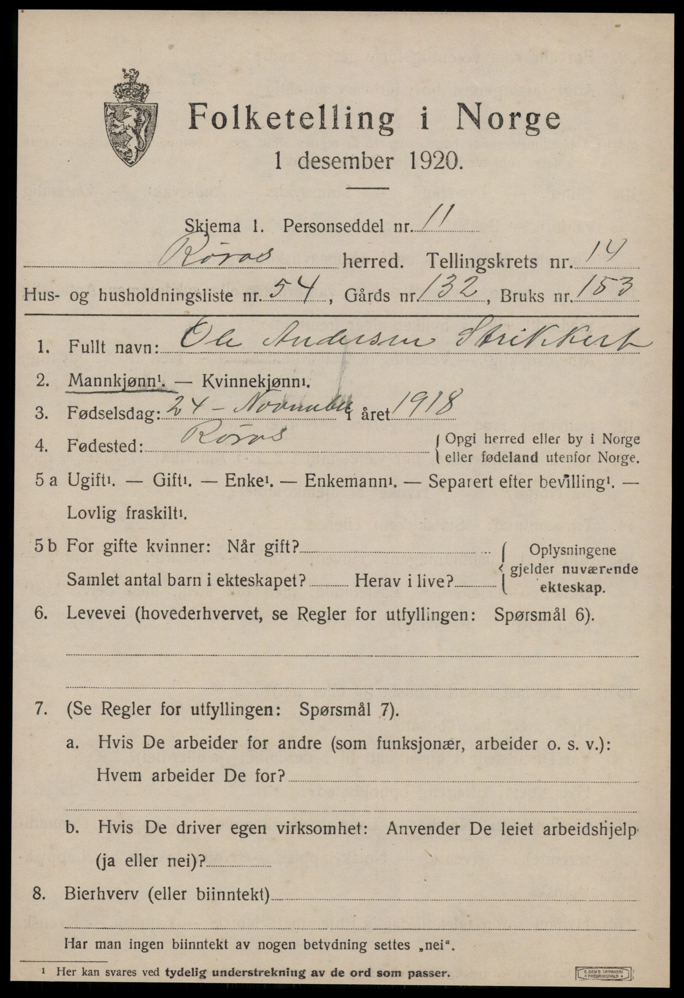 SAT, 1920 census for Røros, 1920, p. 10252