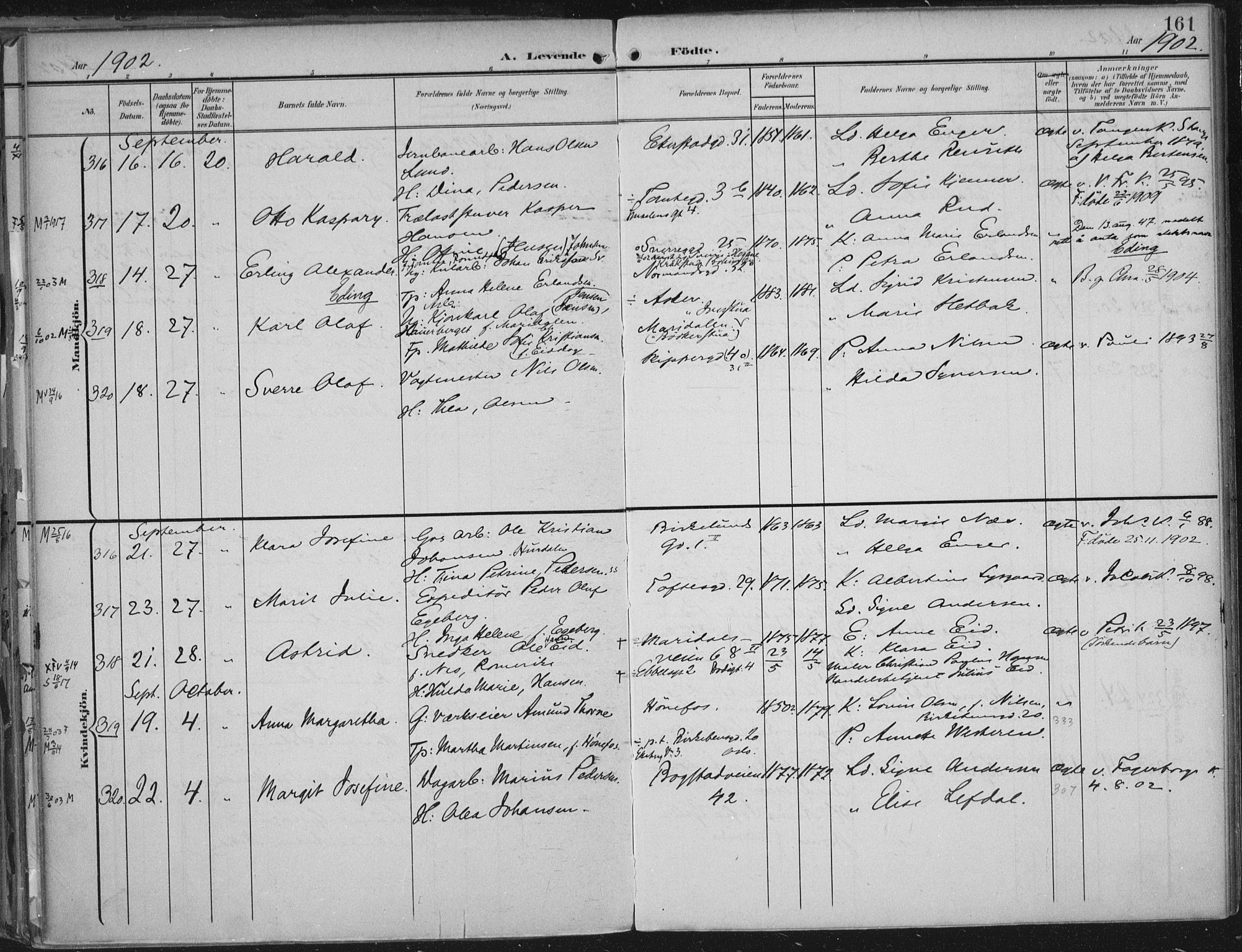 Rikshospitalet prestekontor Kirkebøker, SAO/A-10309b/F/L0012: Parish register (official) no. 12, 1901-1904, p. 161