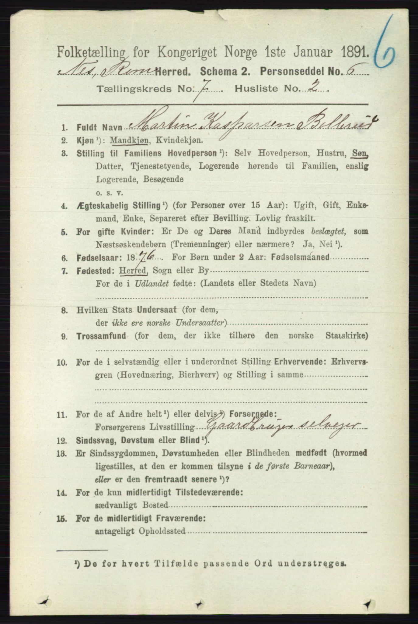 RA, 1891 census for 0236 Nes, 1891, p. 4030