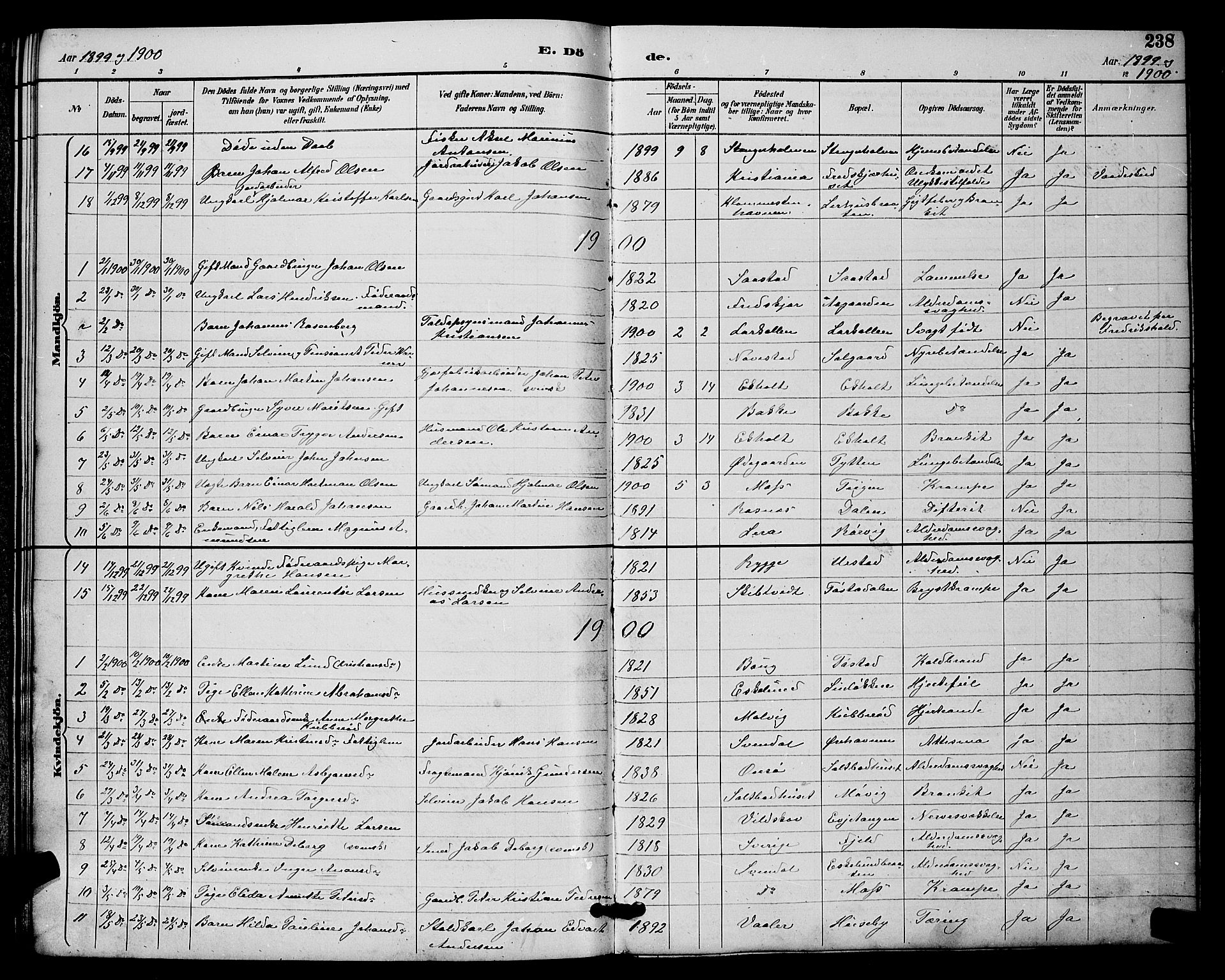 Rygge prestekontor Kirkebøker, SAO/A-10084b/G/Ga/L0002: Parish register (copy) no. 2, 1887-1905, p. 238