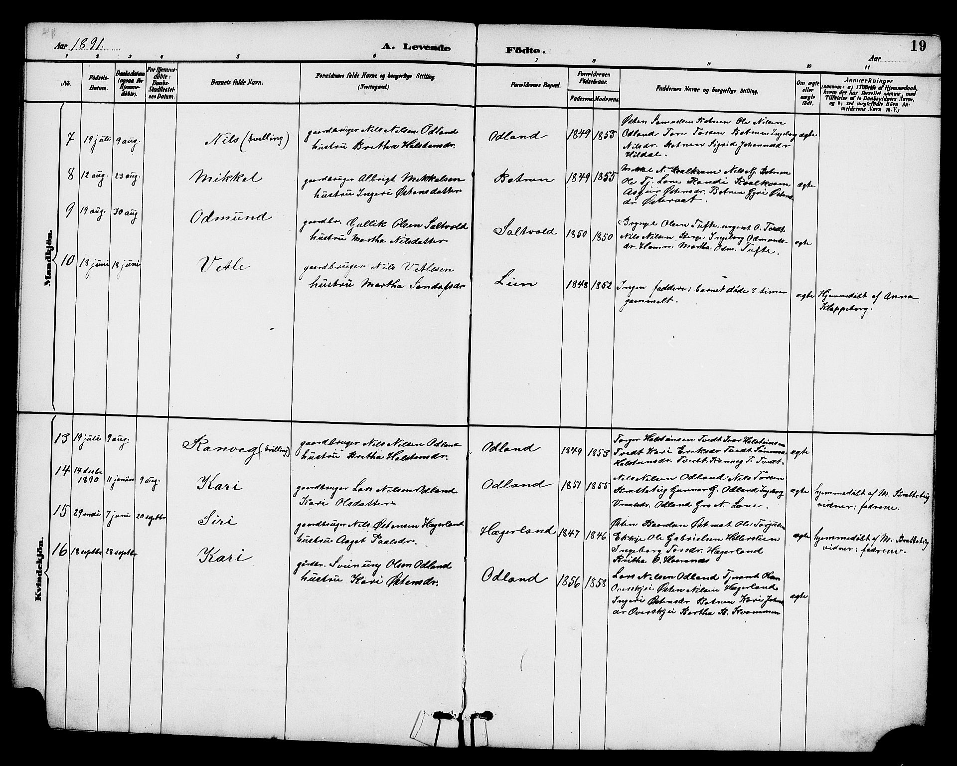 Røldal sokneprestembete, AV/SAB-A-100247: Parish register (copy) no. A 3, 1887-1917, p. 19