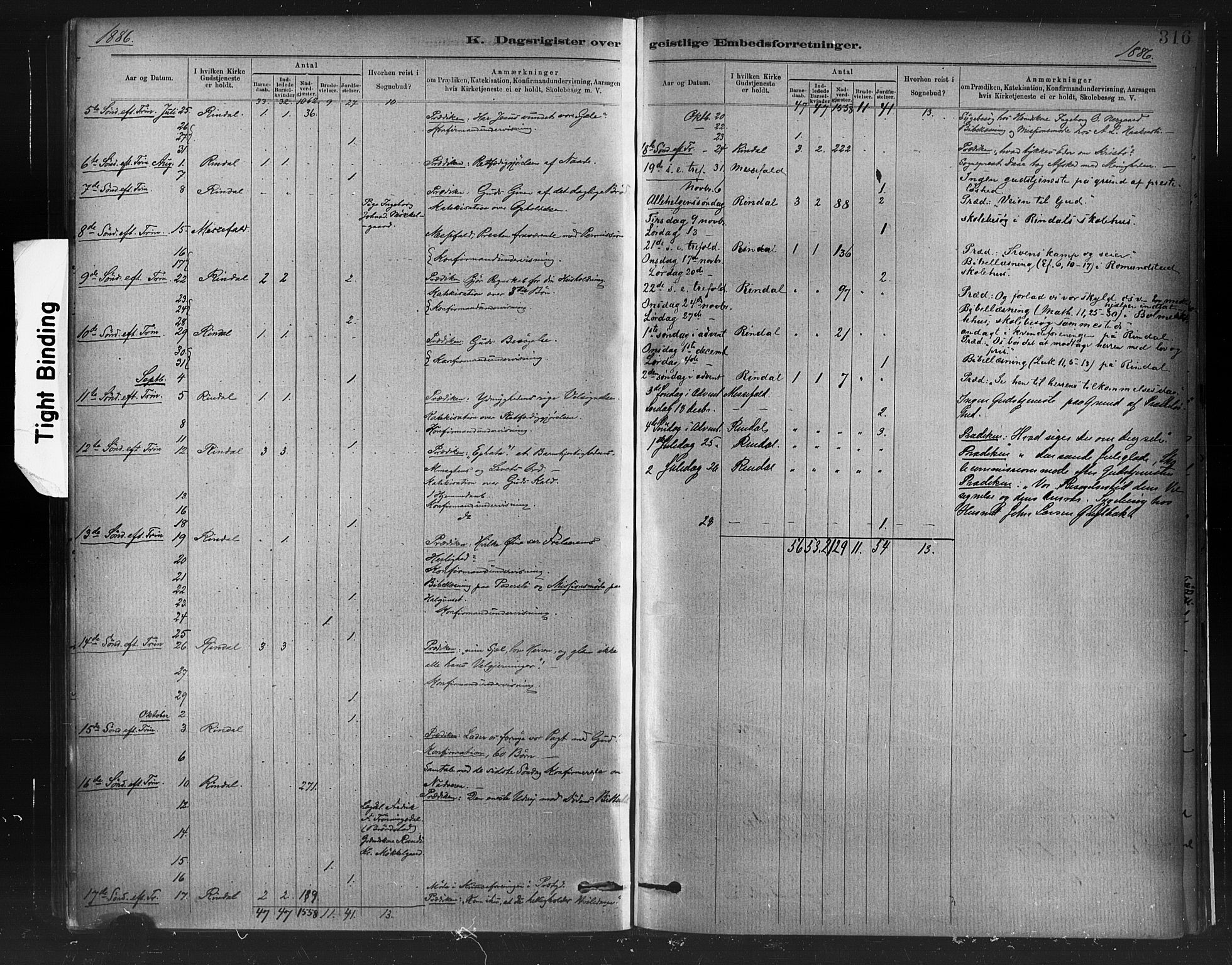 Ministerialprotokoller, klokkerbøker og fødselsregistre - Møre og Romsdal, AV/SAT-A-1454/598/L1069: Parish register (official) no. 598A03, 1882-1895, p. 316