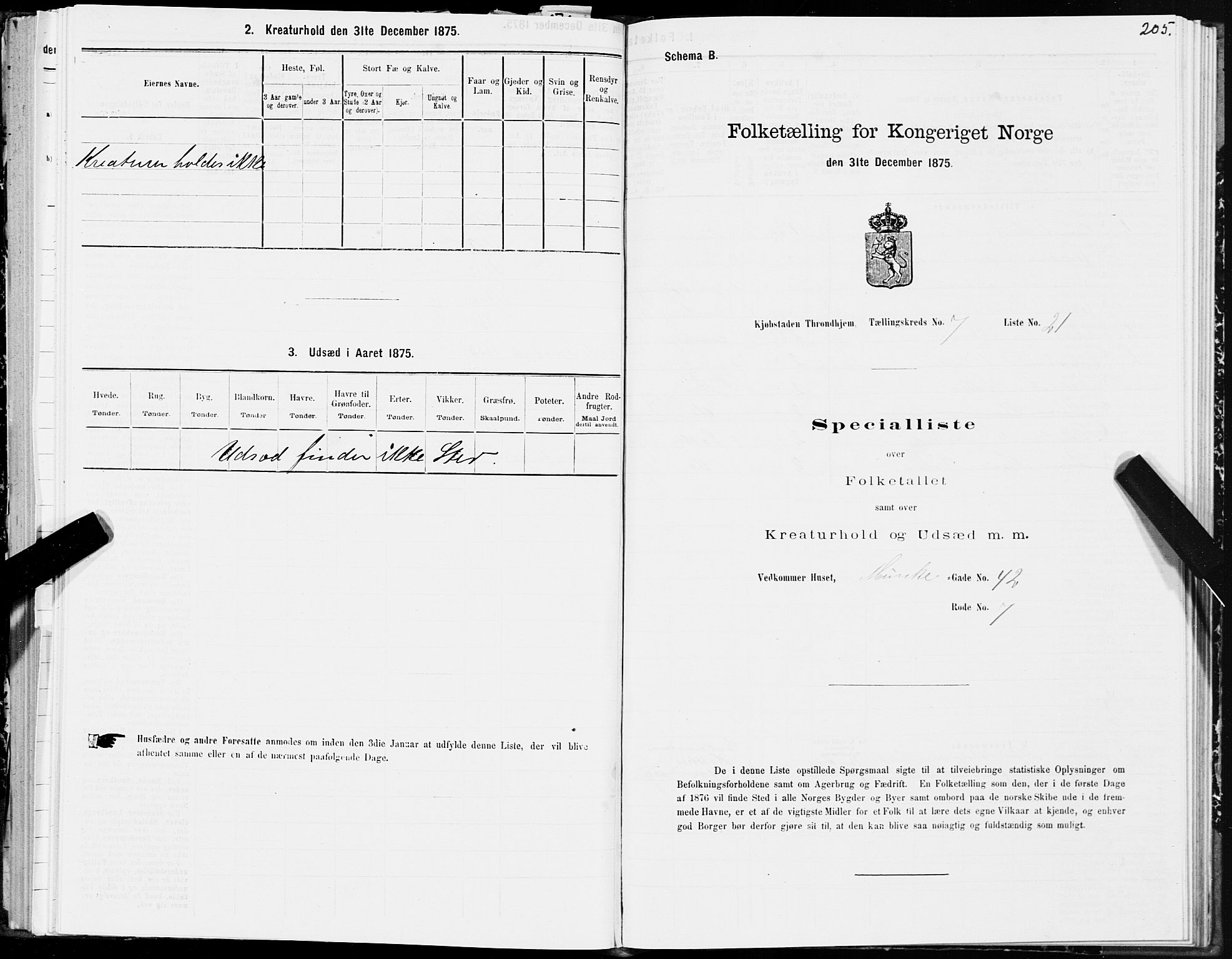 SAT, 1875 census for 1601 Trondheim, 1875, p. 4205