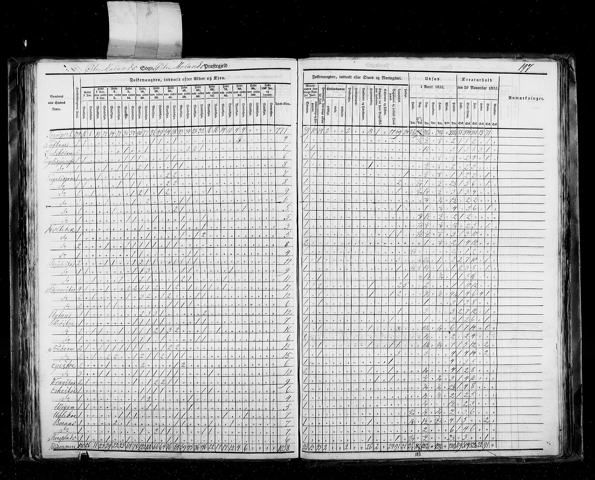 RA, Census 1835, vol. 5: Bratsberg amt og Nedenes og Råbyggelaget amt, 1835, p. 197