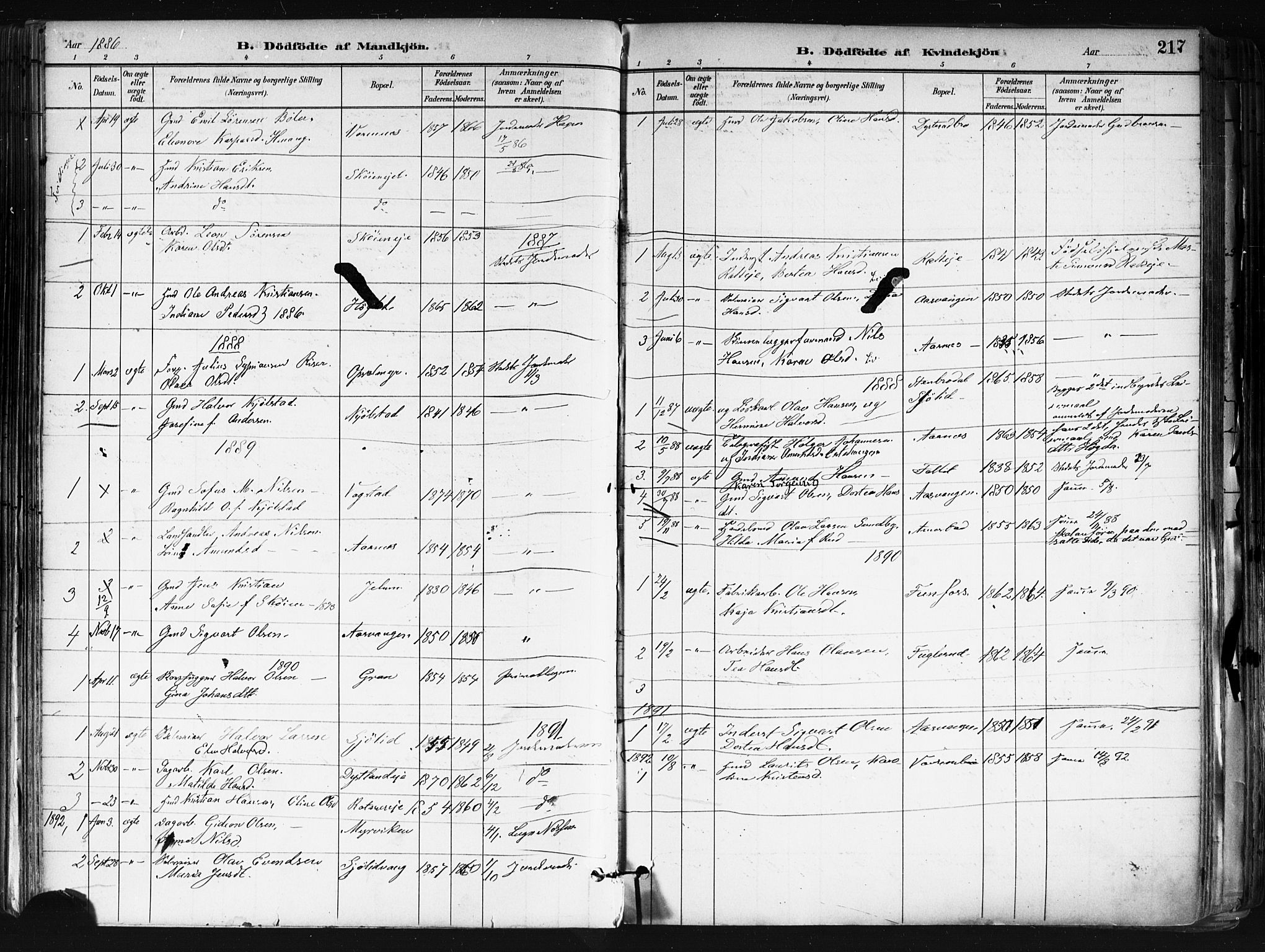 Nes prestekontor Kirkebøker, SAO/A-10410/F/Fa/L0010: Parish register (official) no. I 10, 1883-1898, p. 217