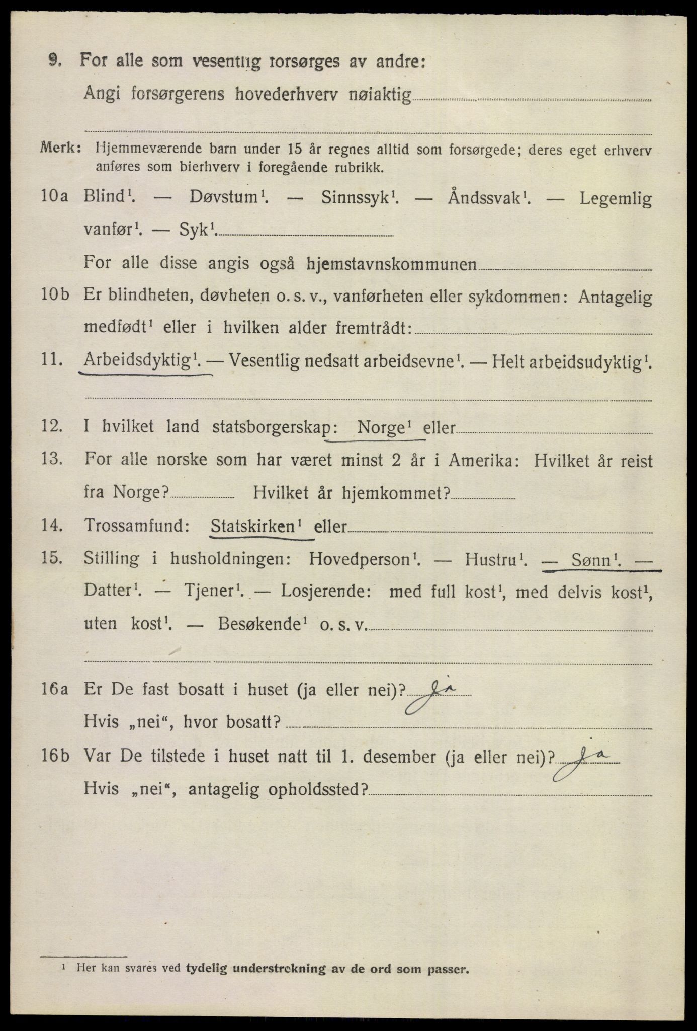 SAKO, 1920 census for Sigdal, 1920, p. 4539