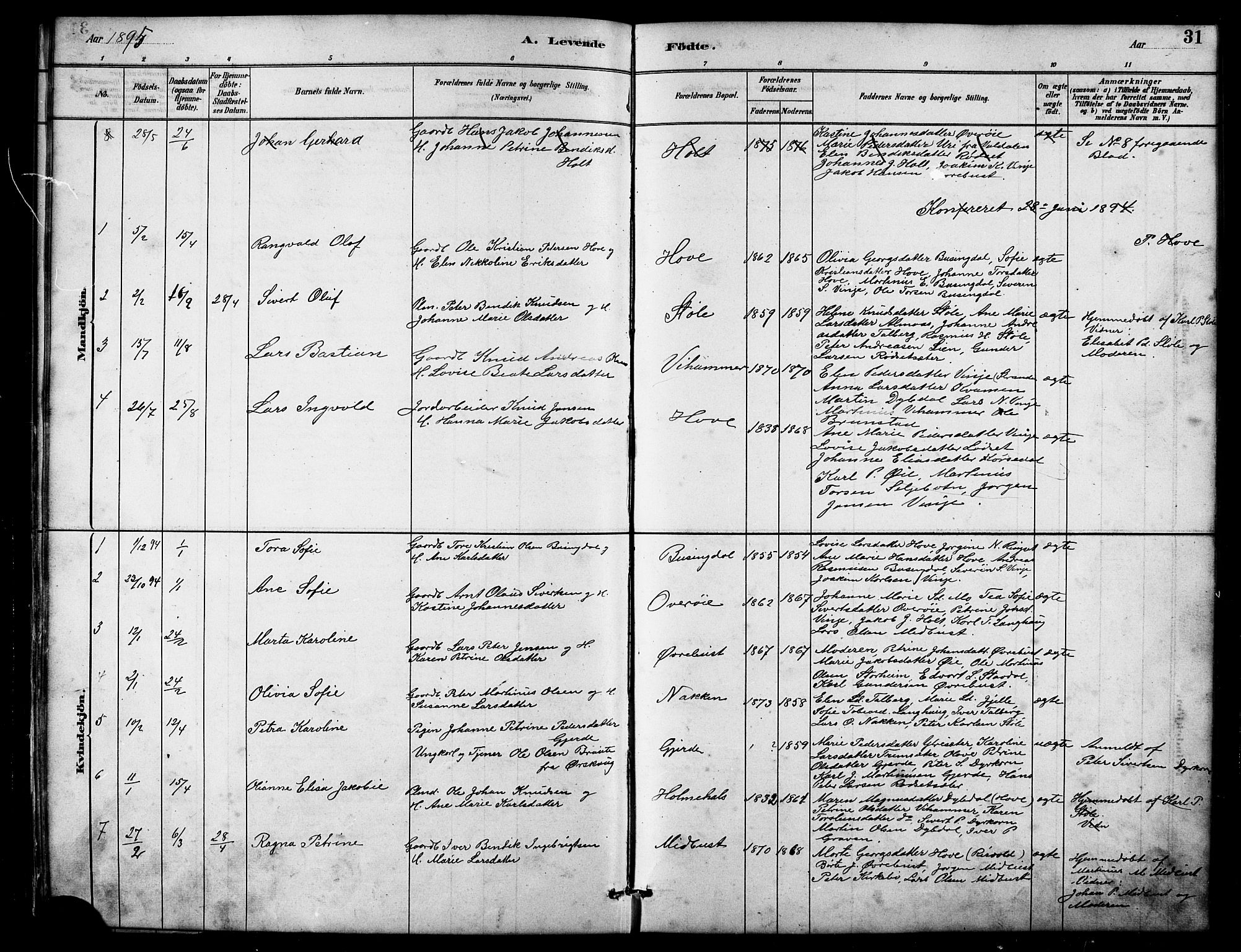 Ministerialprotokoller, klokkerbøker og fødselsregistre - Møre og Romsdal, AV/SAT-A-1454/521/L0302: Parish register (copy) no. 521C03, 1882-1907, p. 31