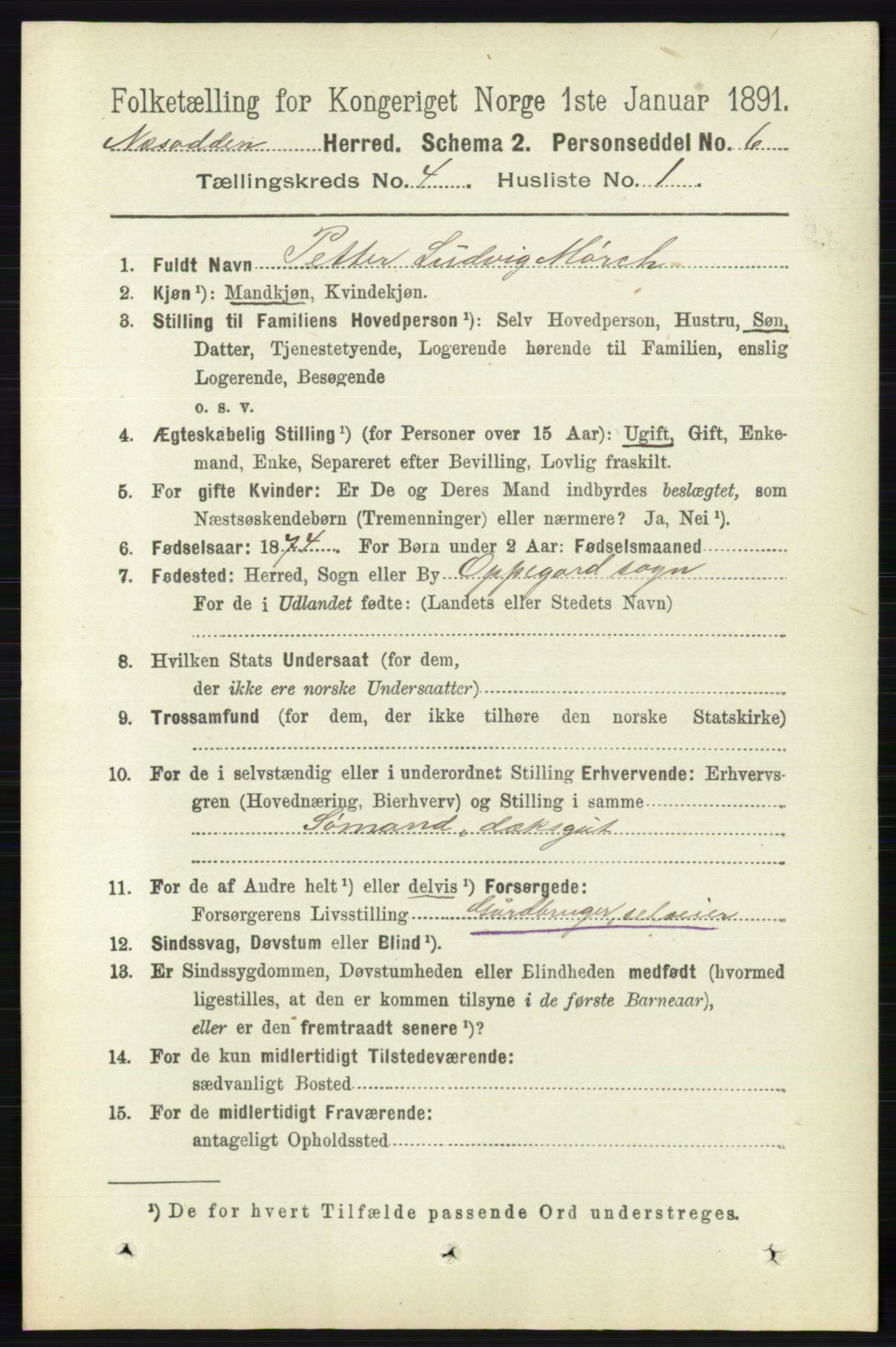 RA, 1891 census for 0216 Nesodden, 1891, p. 1694