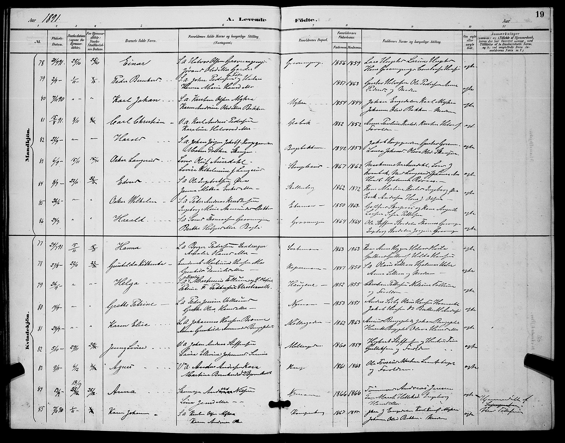 Kongsberg kirkebøker, AV/SAKO-A-22/G/Ga/L0006: Parish register (copy) no. 6, 1890-1901, p. 19