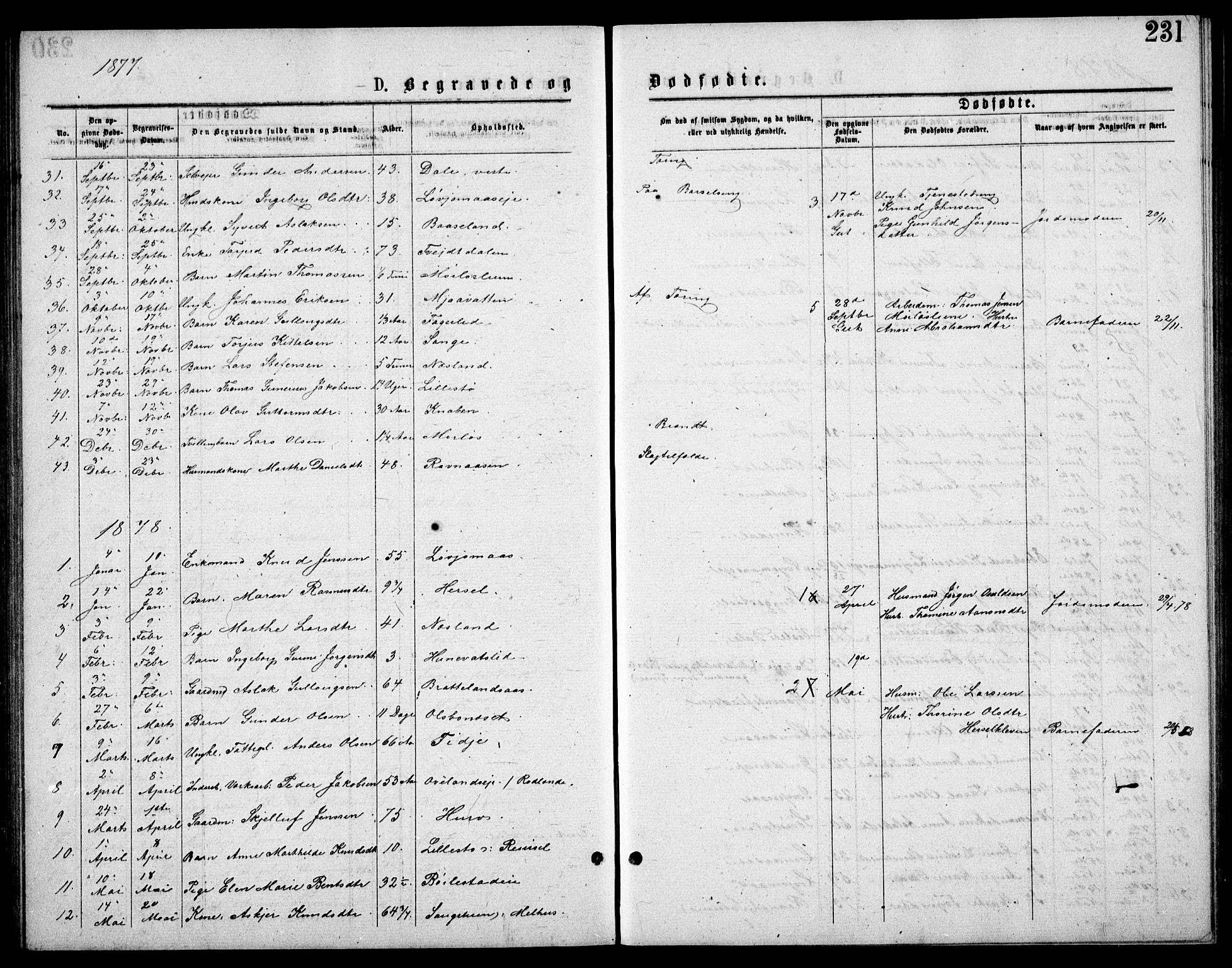 Froland sokneprestkontor, SAK/1111-0013/F/Fb/L0009: Parish register (copy) no. B 9, 1875-1893, p. 231
