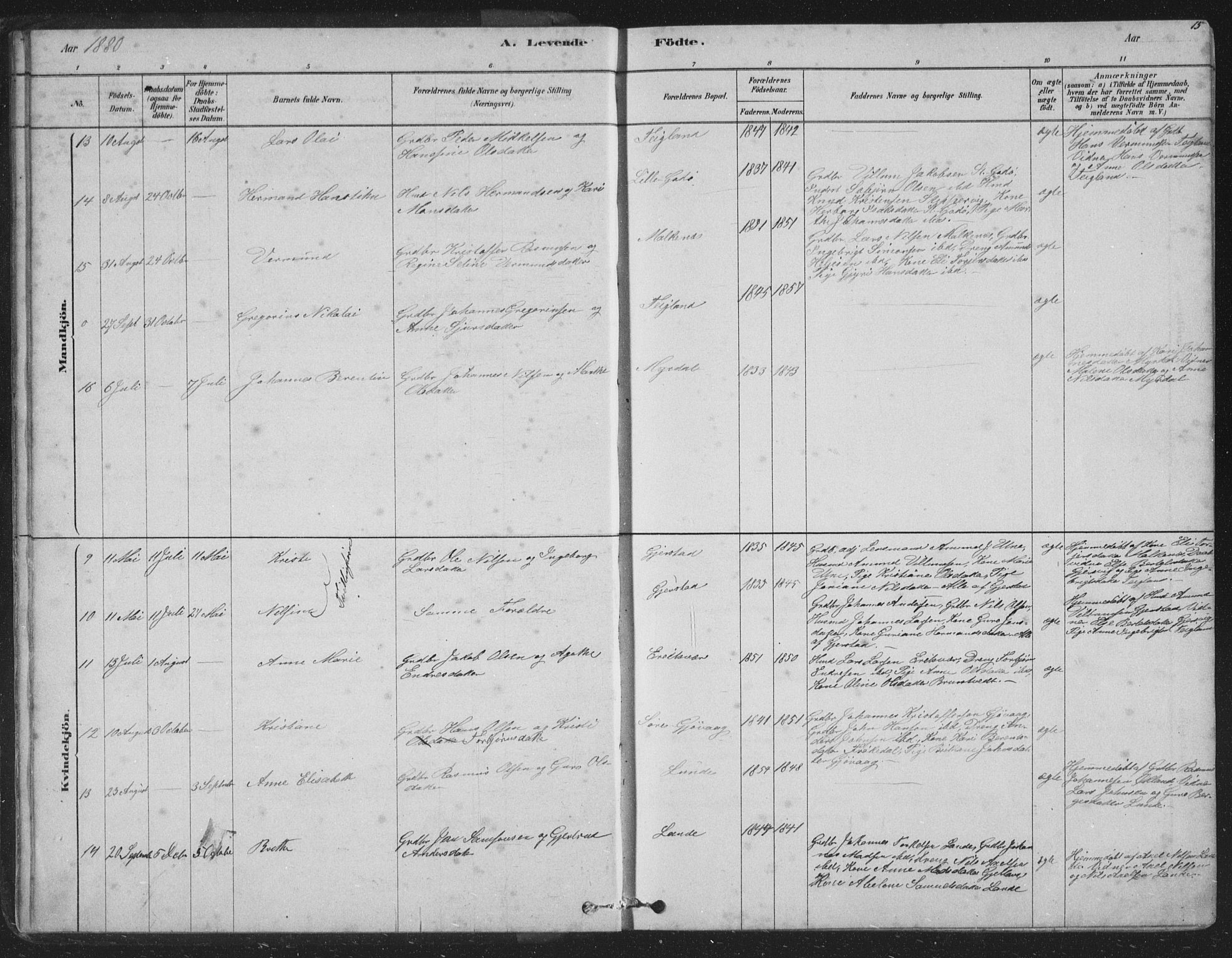 Tysnes sokneprestembete, AV/SAB-A-78601/H/Hab: Parish register (copy) no. B 2, 1878-1918, p. 15