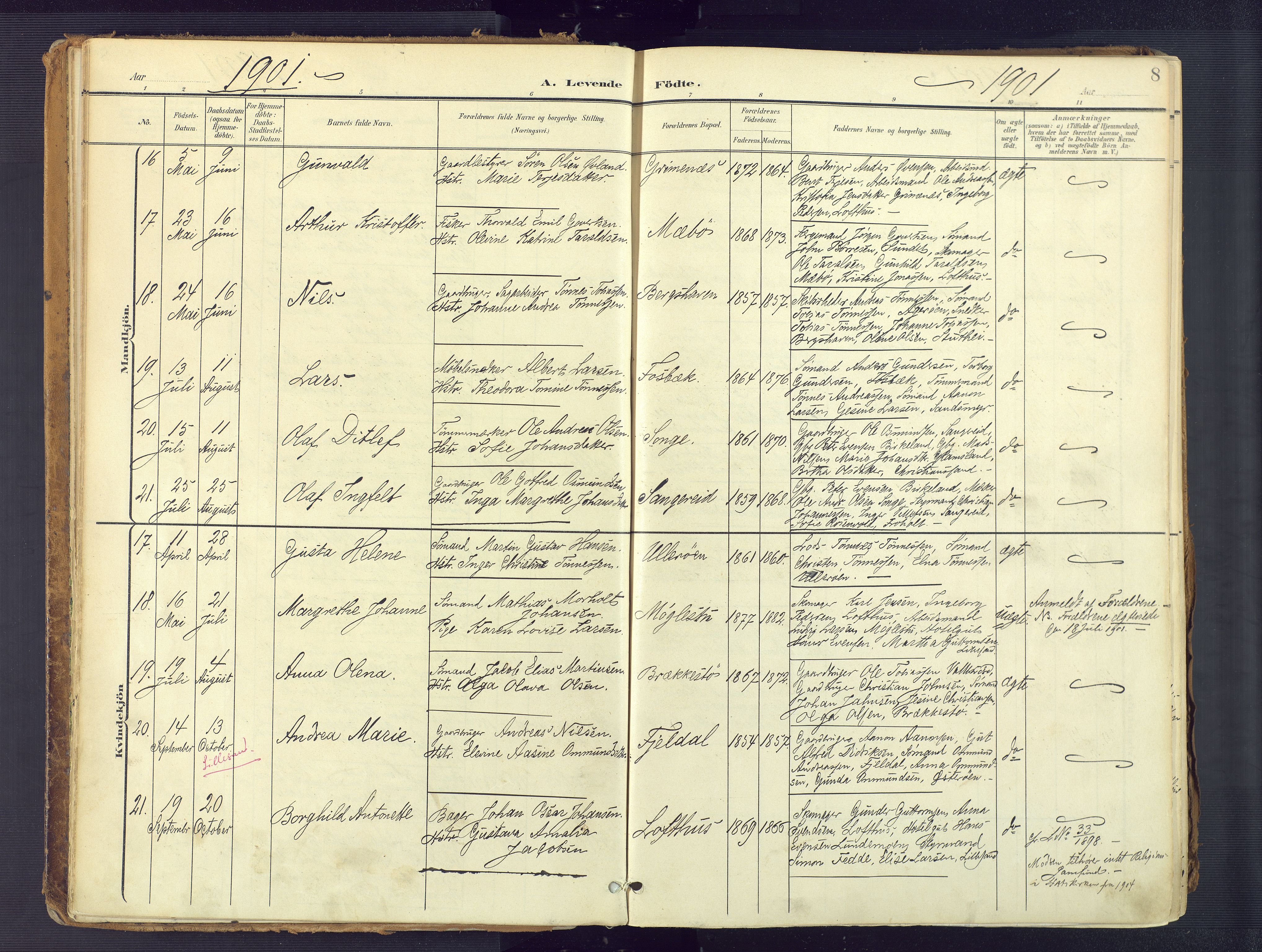 Vestre Moland sokneprestkontor, SAK/1111-0046/F/Fa/Fab/L0010: Parish register (official) no. A 10, 1900-1926, p. 8