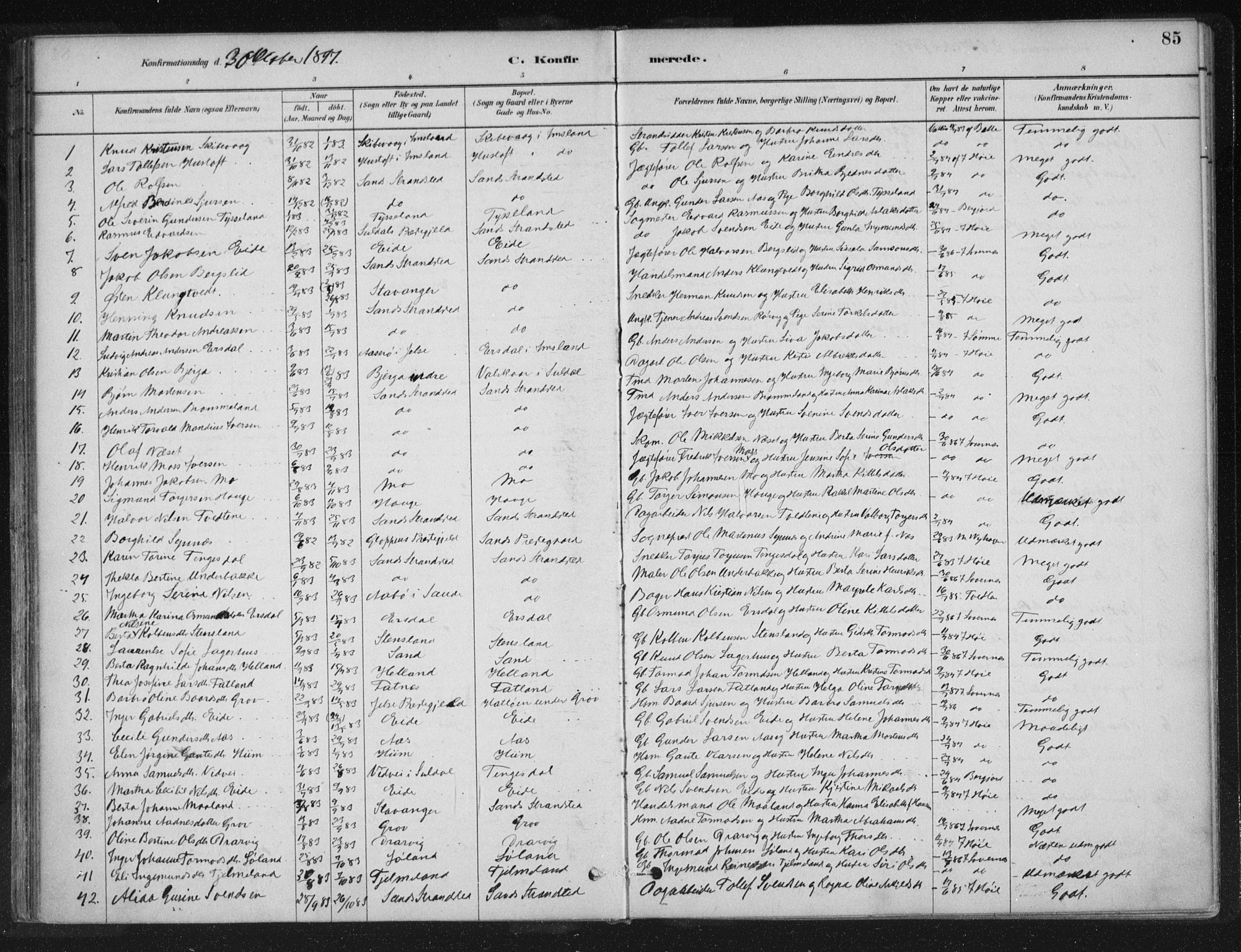 Sand sokneprestkontor, AV/SAST-A-101848/01/III/L0005: Parish register (official) no. A 5, 1880-1898, p. 85