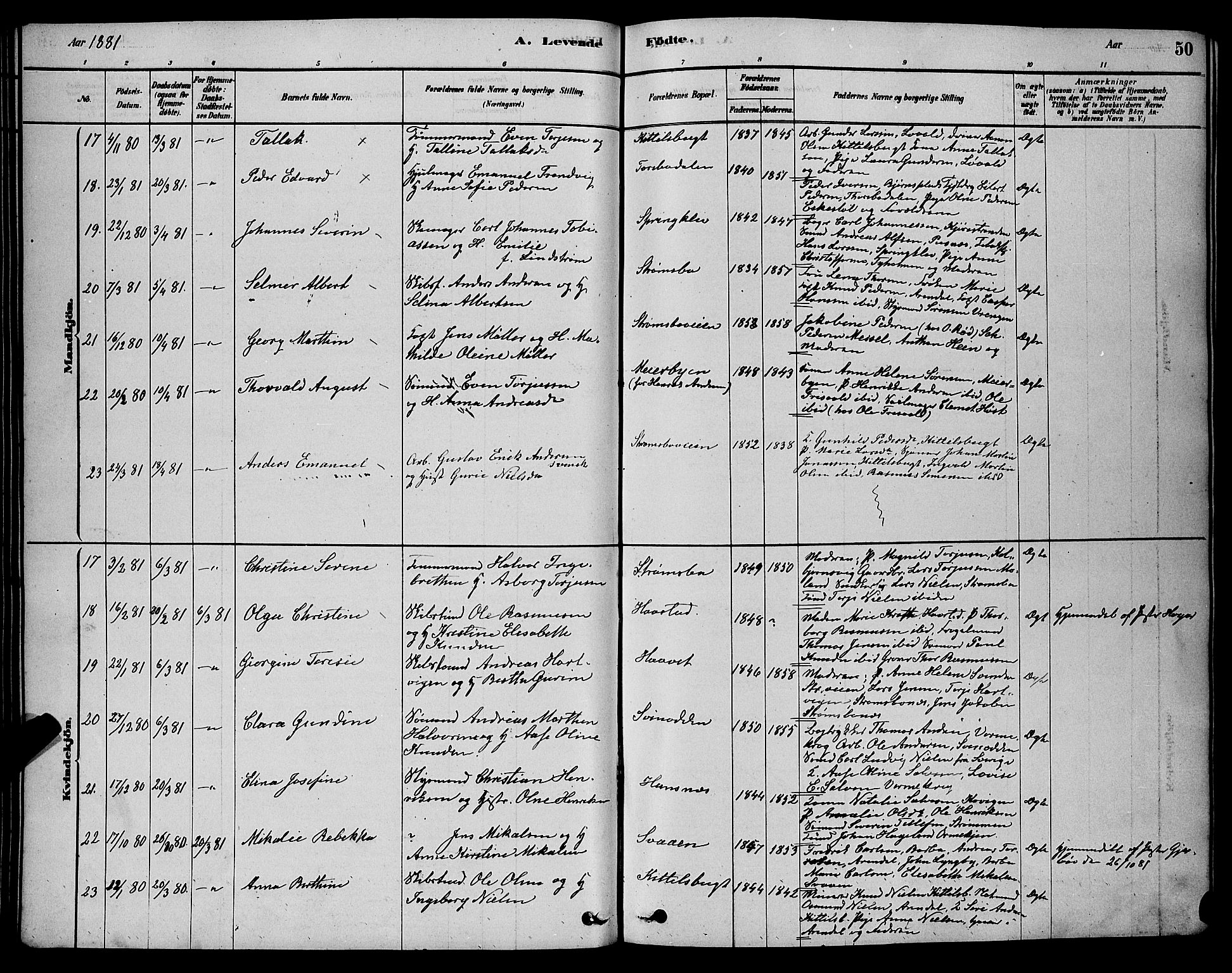 Barbu sokneprestkontor, AV/SAK-1111-0003/F/Fb/L0001: Parish register (copy) no. B 1, 1878-1890, p. 50