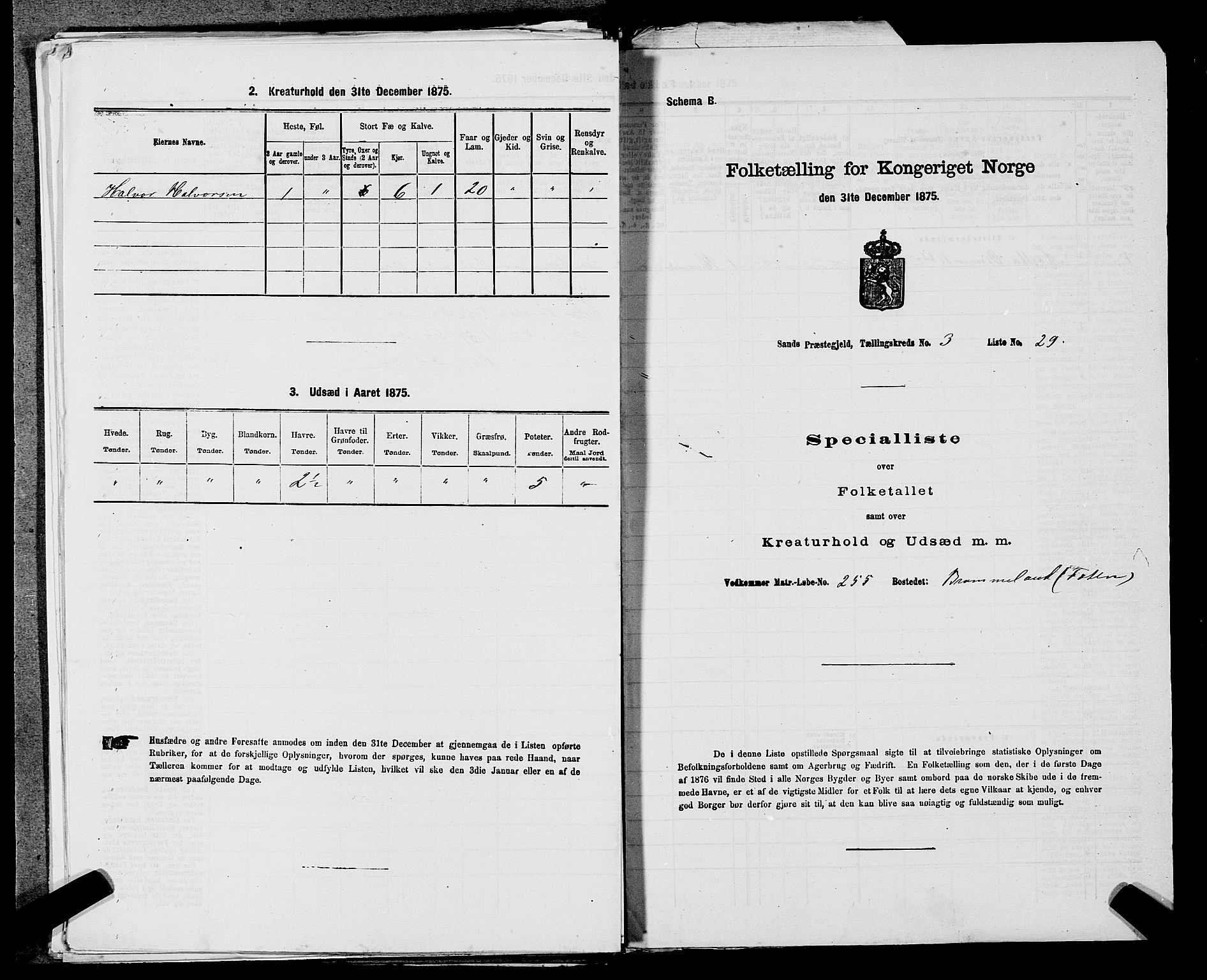 SAST, 1875 census for 1136P Sand, 1875, p. 321