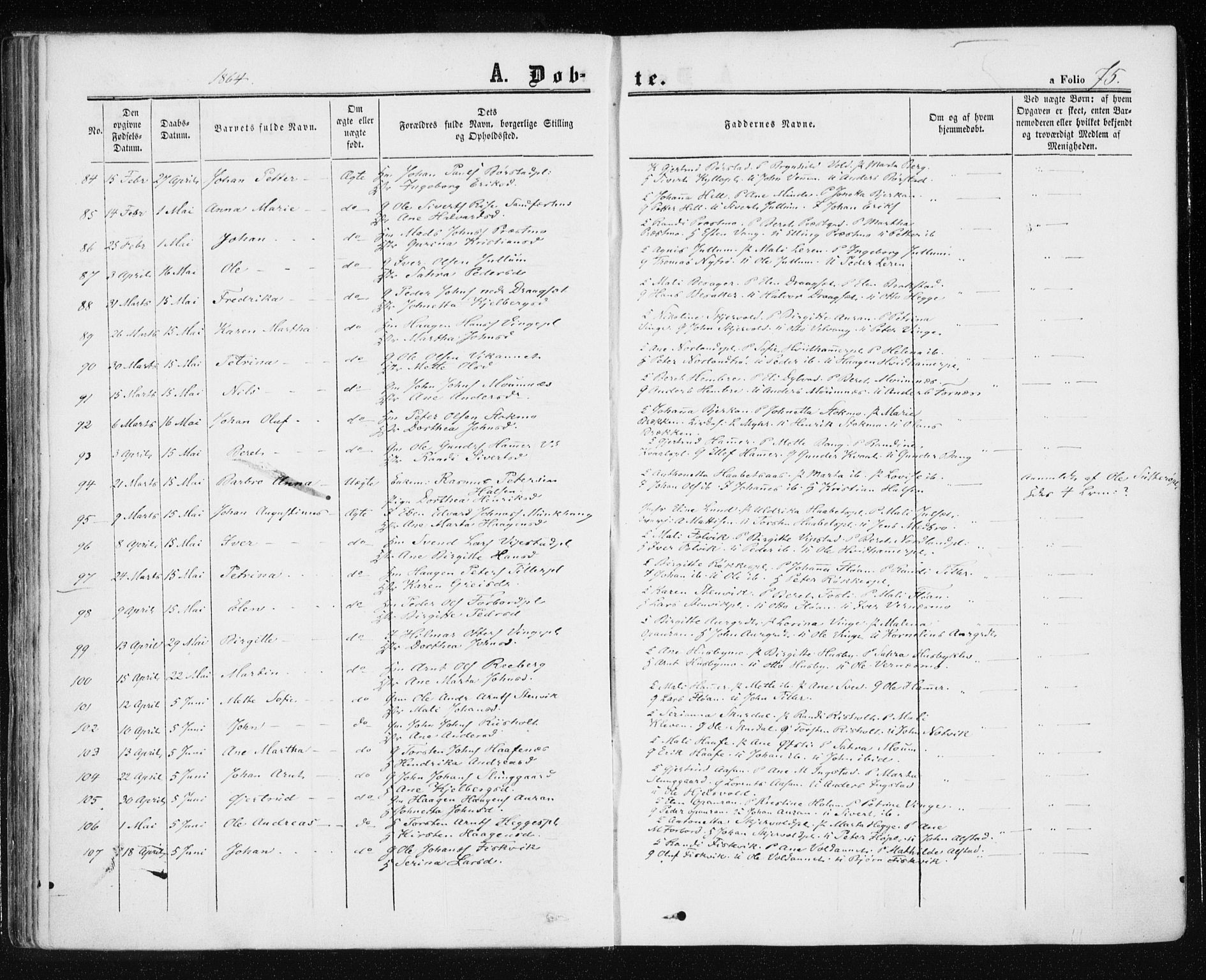 Ministerialprotokoller, klokkerbøker og fødselsregistre - Nord-Trøndelag, SAT/A-1458/709/L0075: Parish register (official) no. 709A15, 1859-1870, p. 75