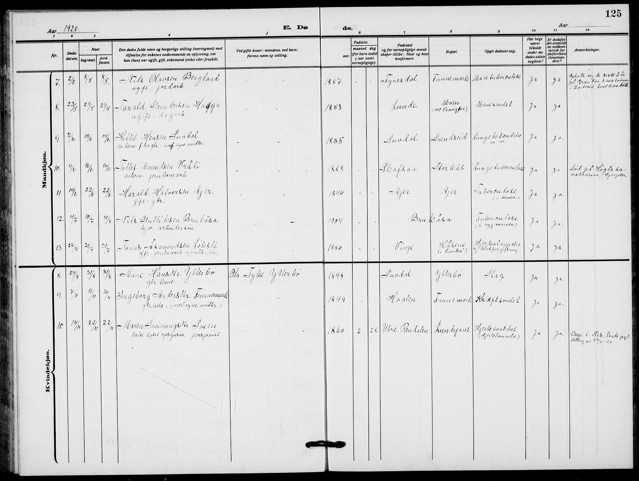 Lunde kirkebøker, AV/SAKO-A-282/F/Fa/L0005: Parish register (official) no. I 5, 1914-1922, p. 125