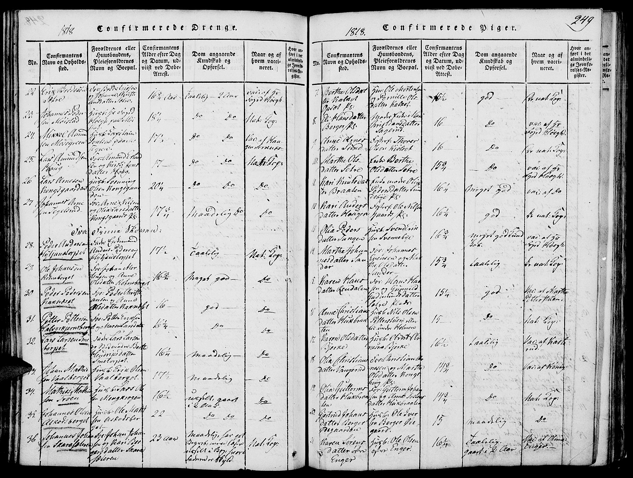 Grue prestekontor, SAH/PREST-036/H/Ha/Hab/L0002: Parish register (copy) no. 2, 1815-1841, p. 249