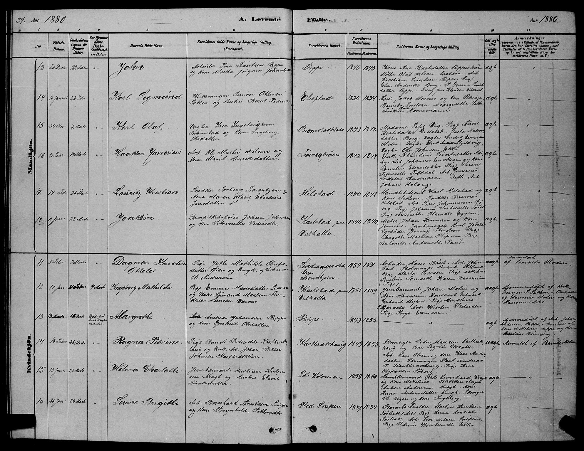 Ministerialprotokoller, klokkerbøker og fødselsregistre - Sør-Trøndelag, AV/SAT-A-1456/606/L0312: Parish register (copy) no. 606C08, 1878-1894, p. 34